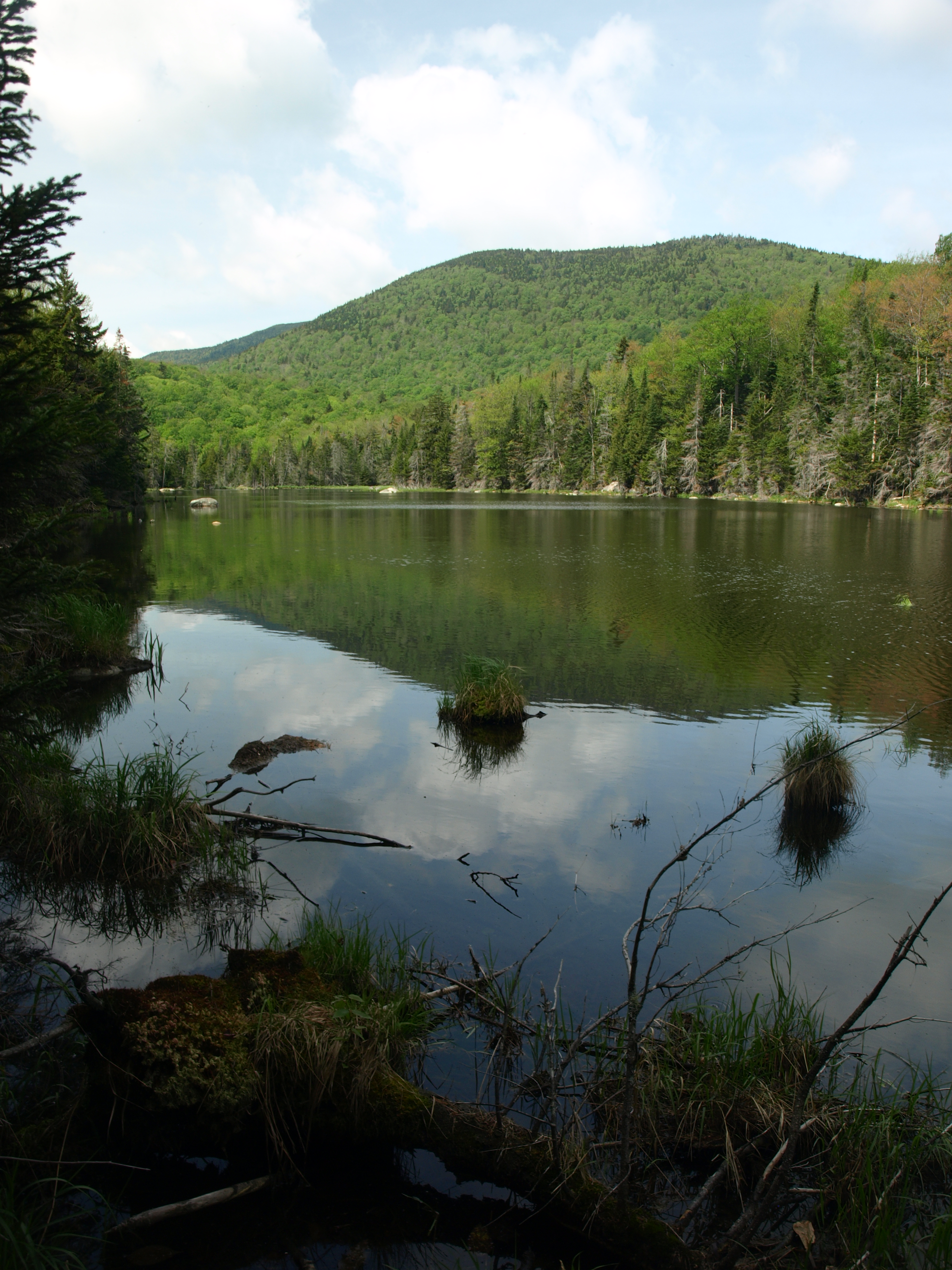 Beaver Pond