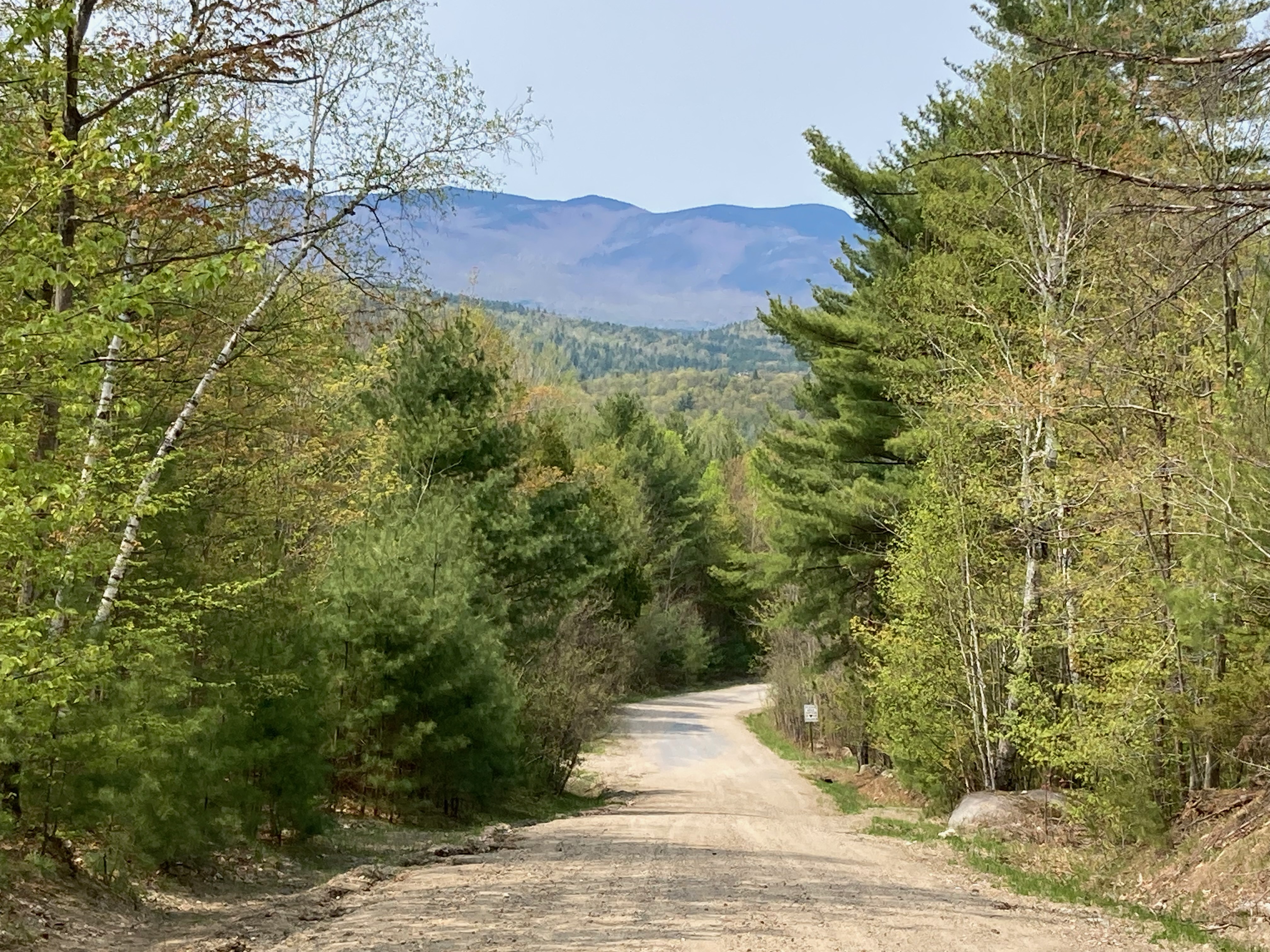 A gravel trail cuts through a treeline.