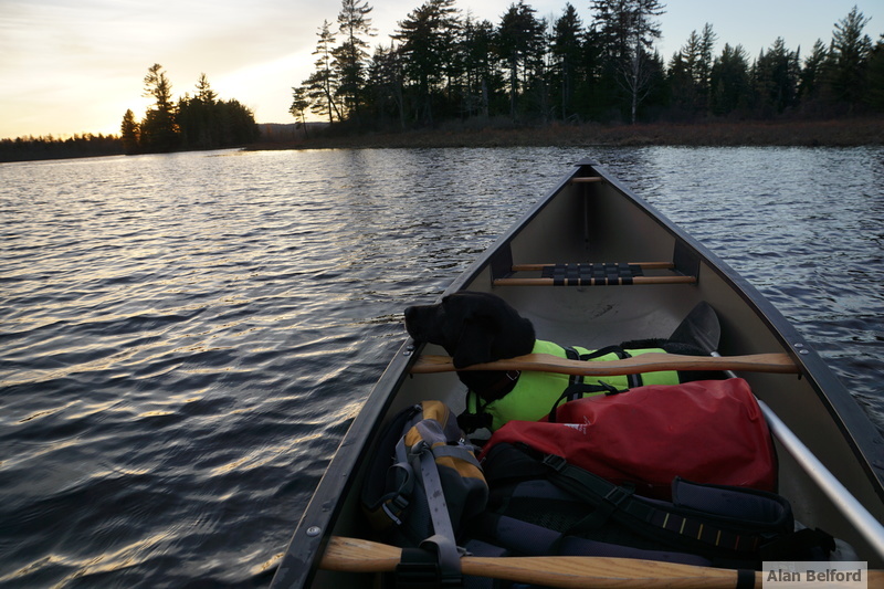 Wren takes in the sunset on an spring evening - note my red dry bag filled with extra clothing in case we get wet.