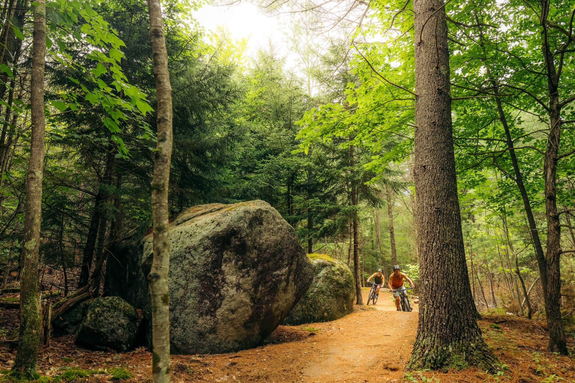 Two mountain bikers ride dirt trail between trees next to large boulder