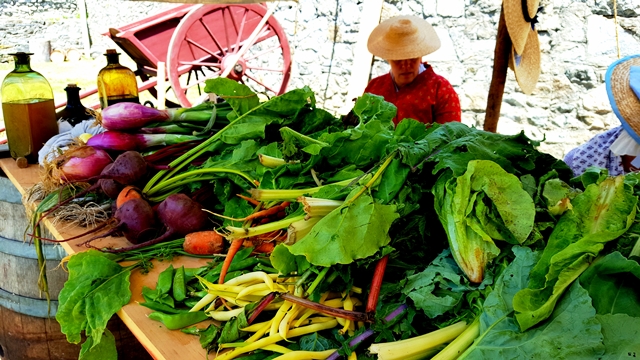 Fresh, colorful root vegetables displayed on a wooden tabletop at a harvest market