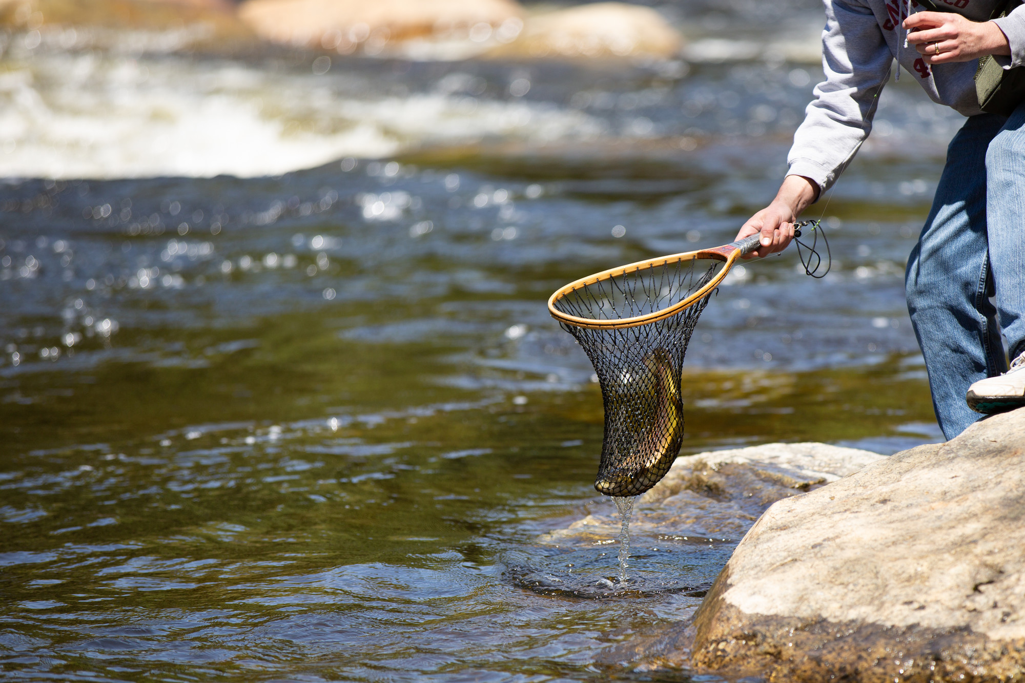 Ausable River fly fisherman catching fish