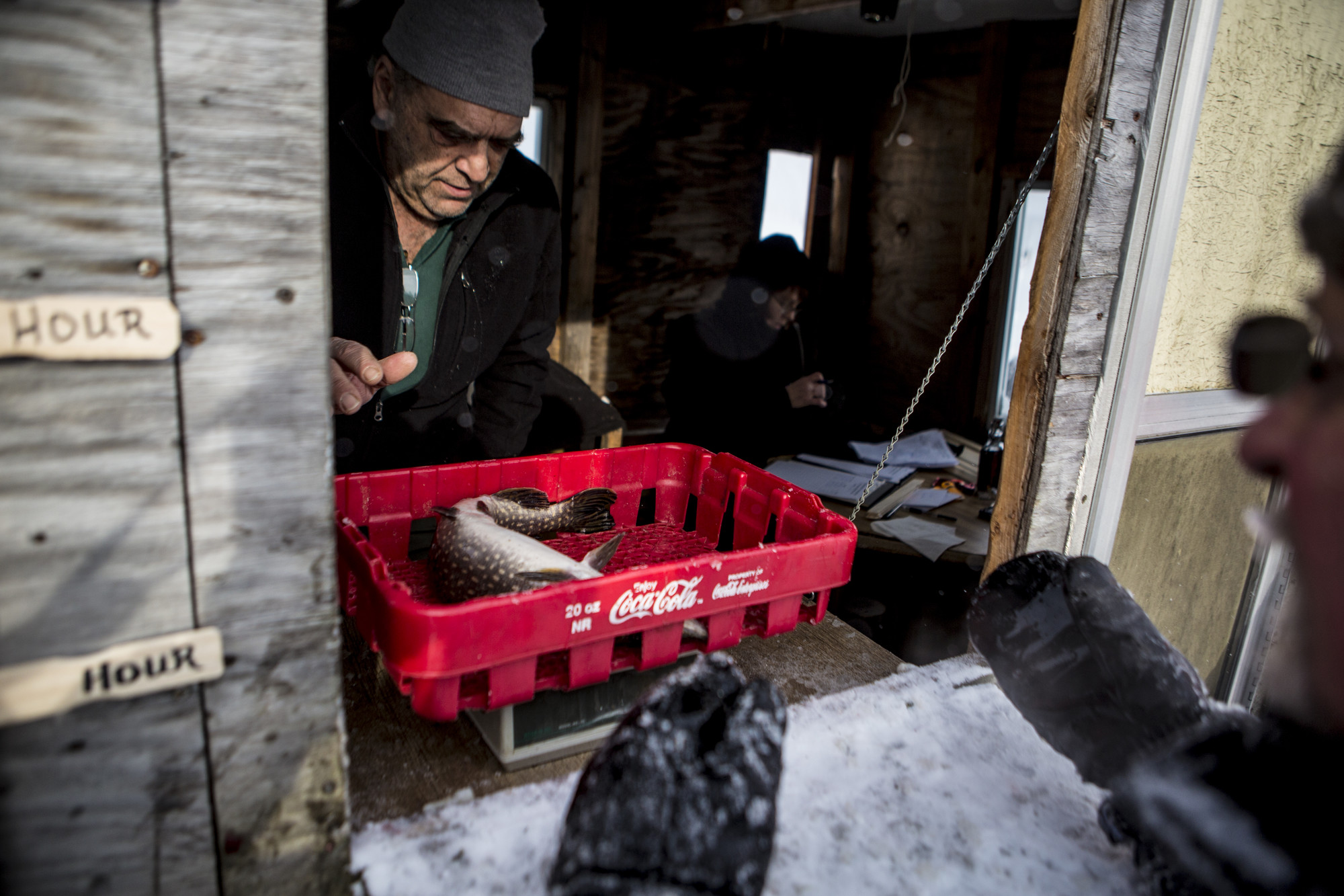 A northern pike being weighed in 