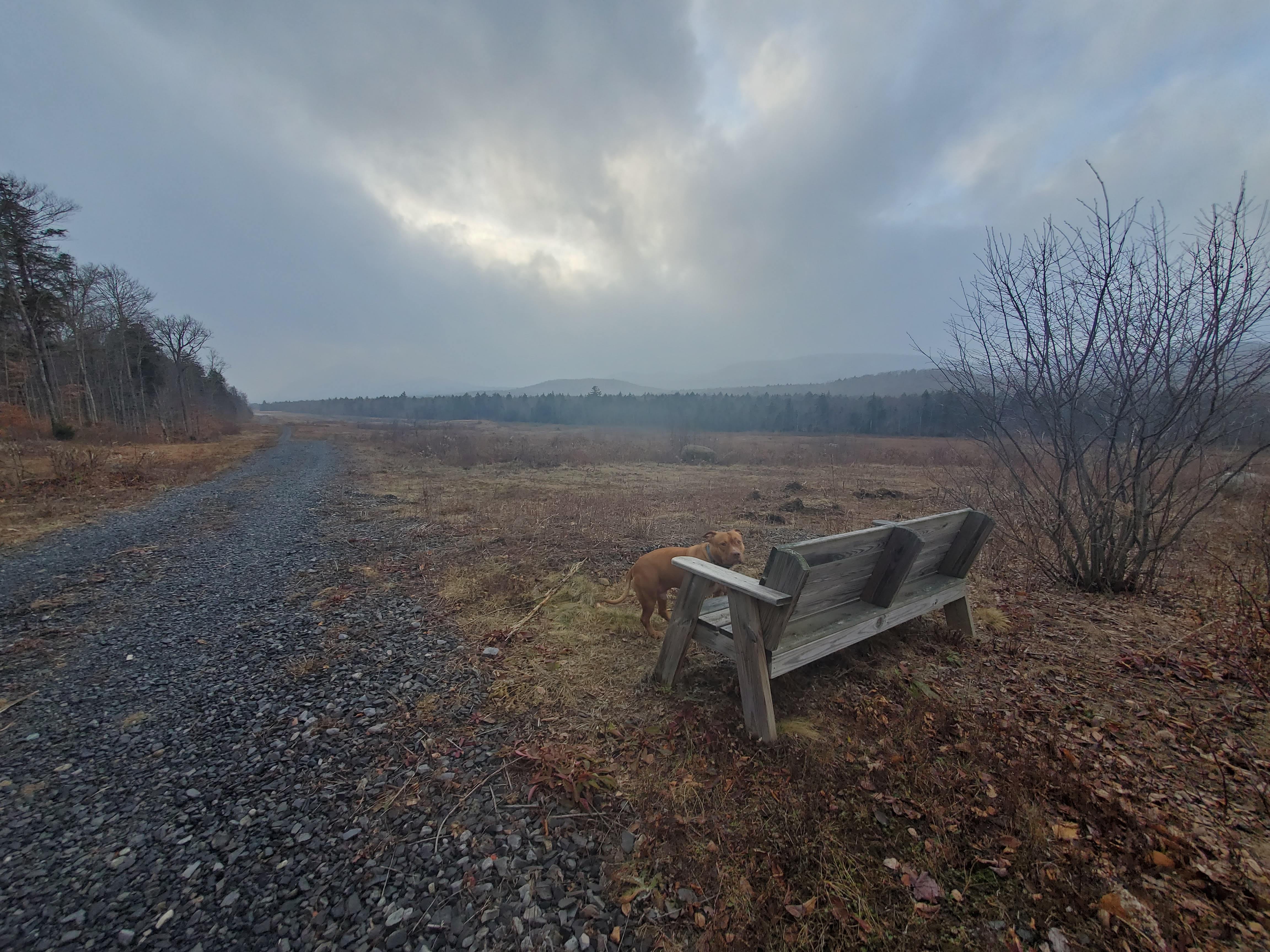 Foxey Brown Bench