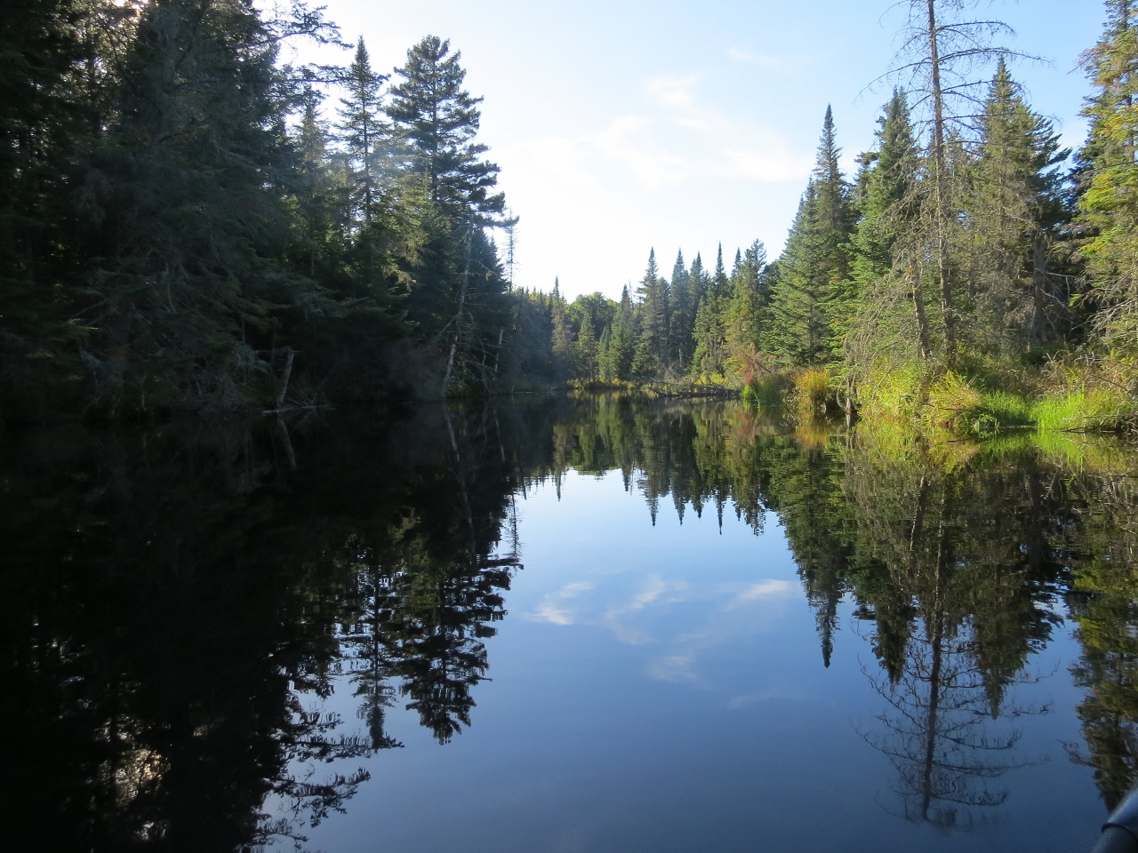 Fishing Brook