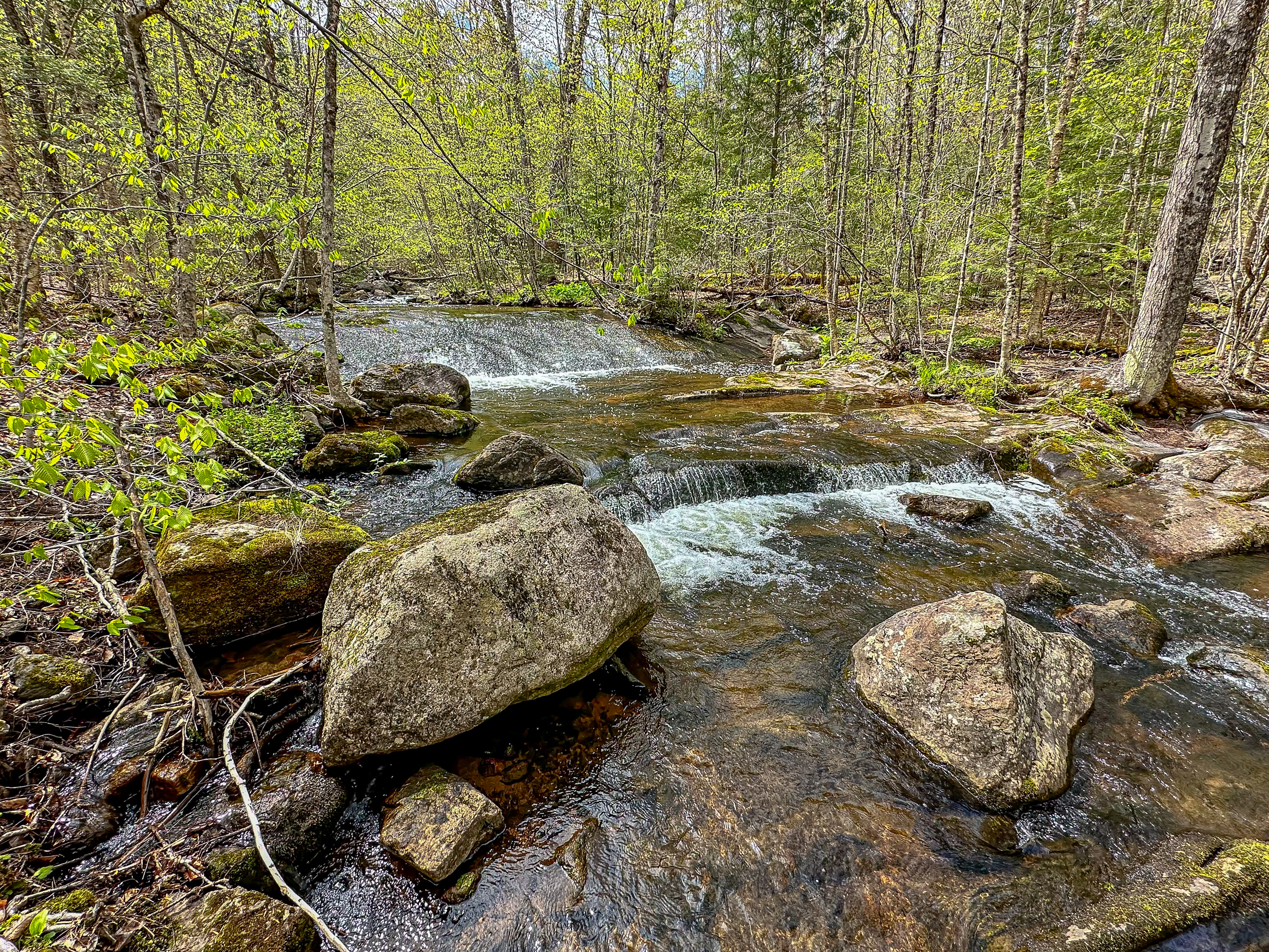 Small waterfalls on a small brook with spring green trees in the background.