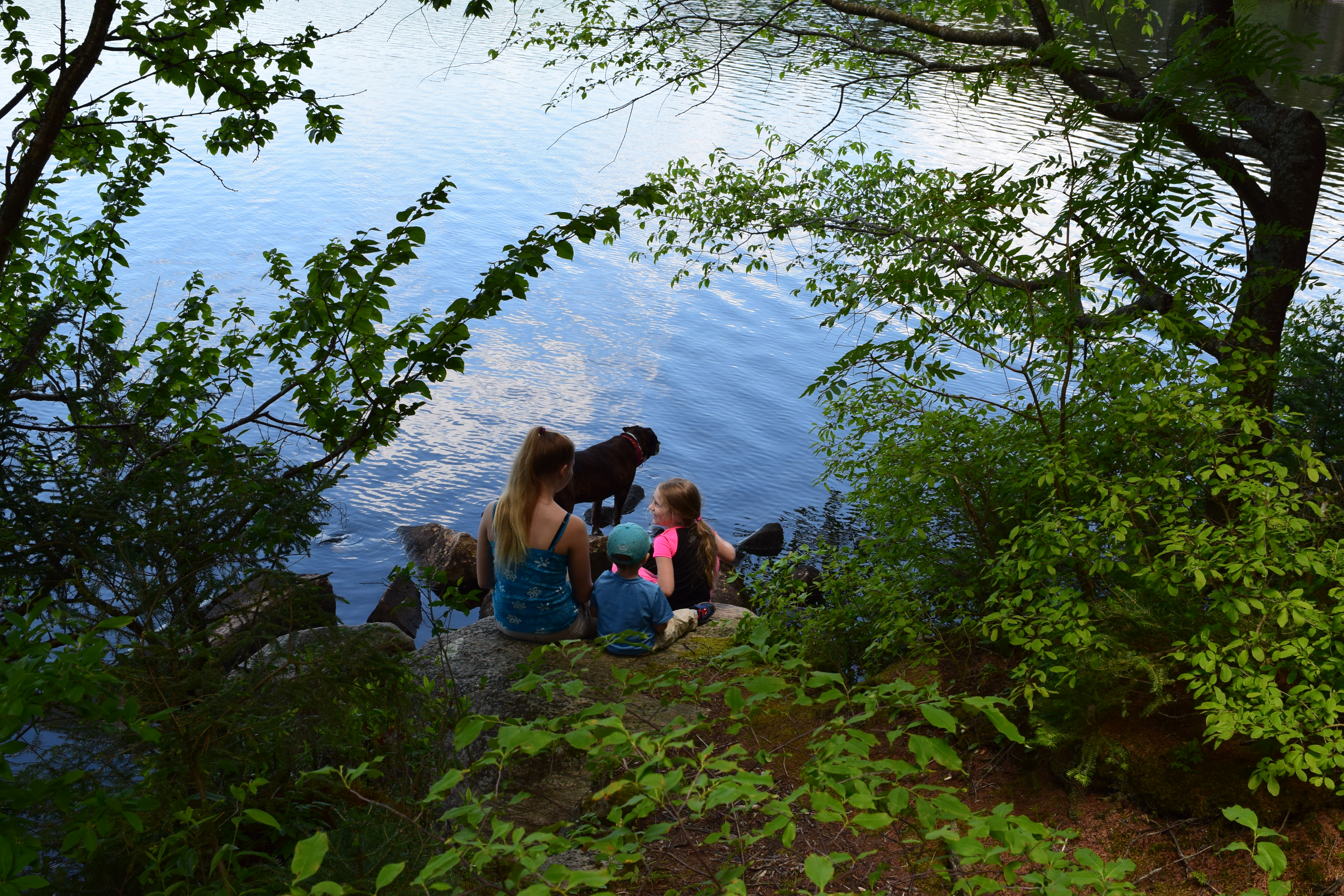 Kids and dog at Spruce Lake 