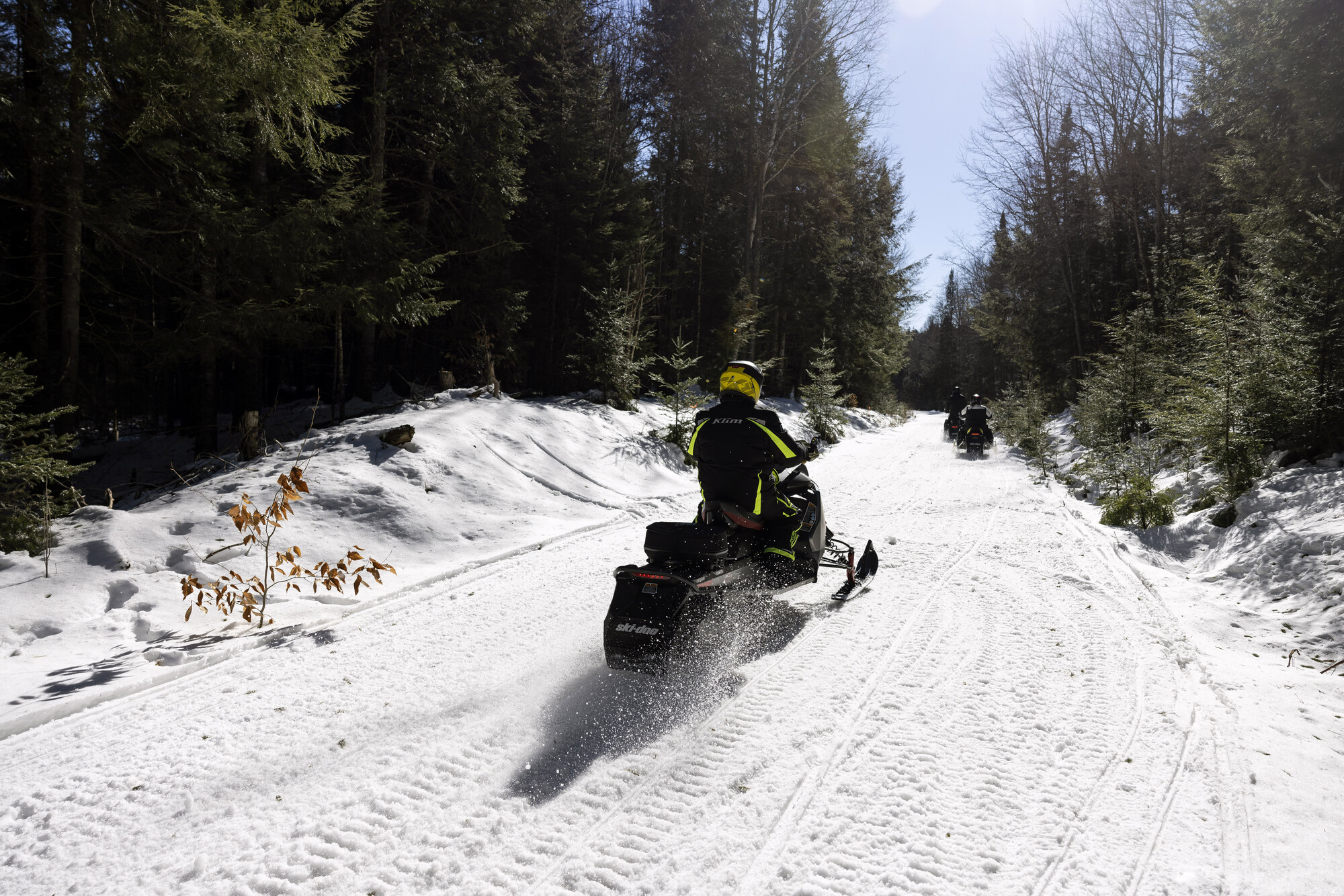 A  pack of snowmobilers cut through a thick forest. 