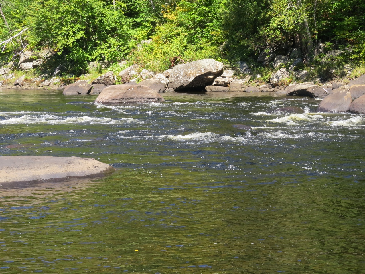 OK Slip Falls Hudson River