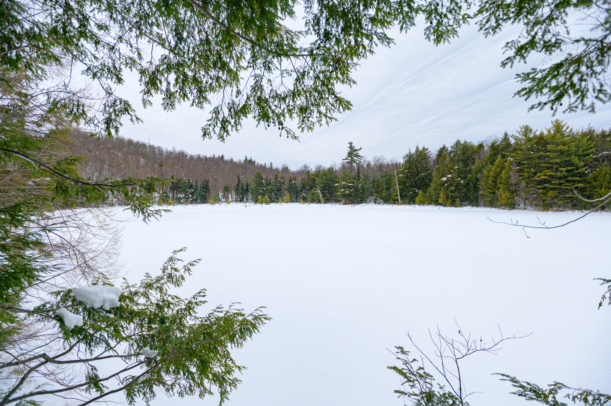 A window-like view through the trees of a frozen pond nestled in snowy mountains