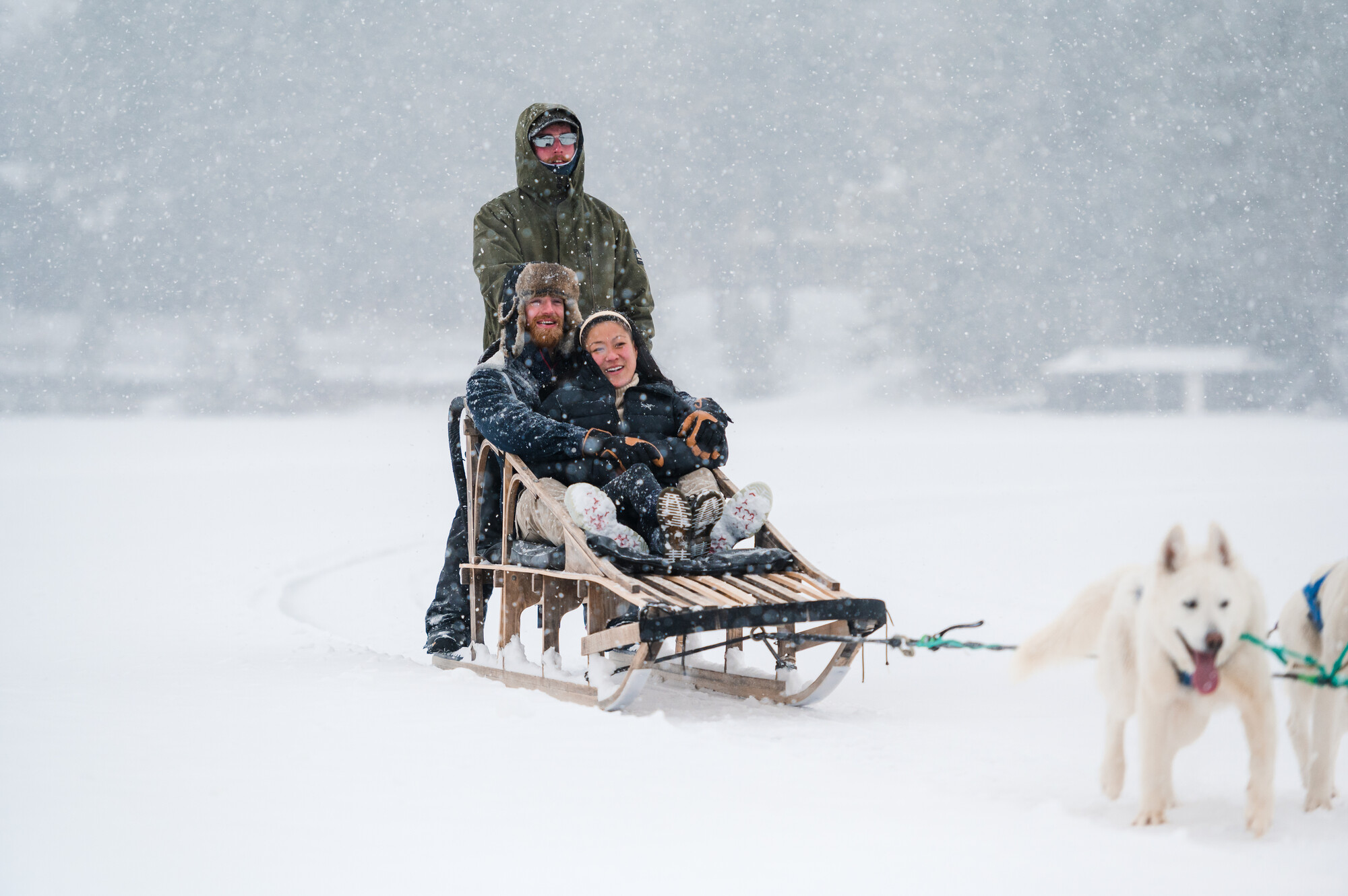 A couple being pulled on a dog sled on Mirror Lake.