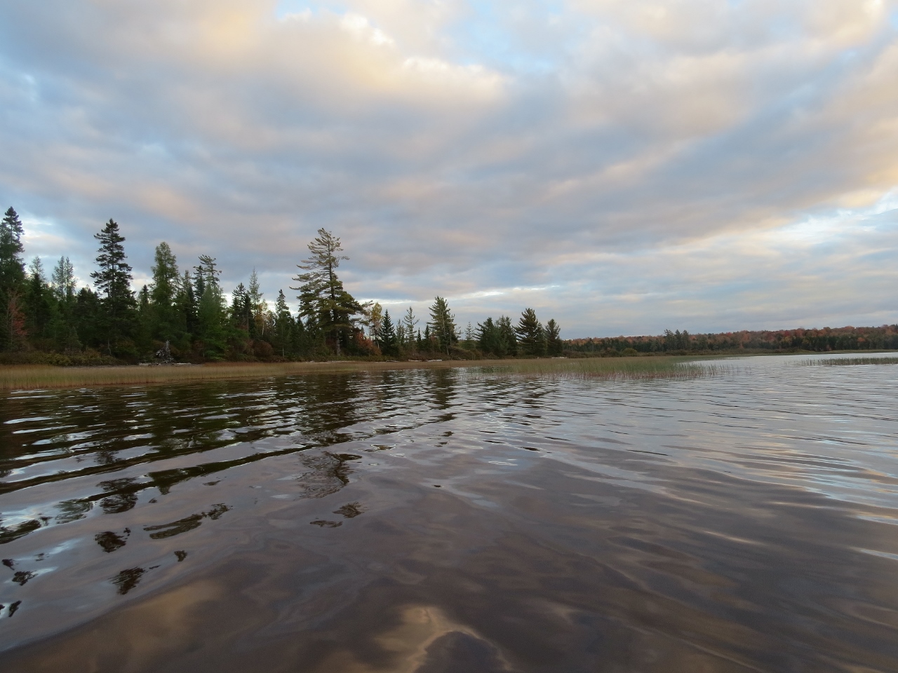 Lake Lila Camp Site 17