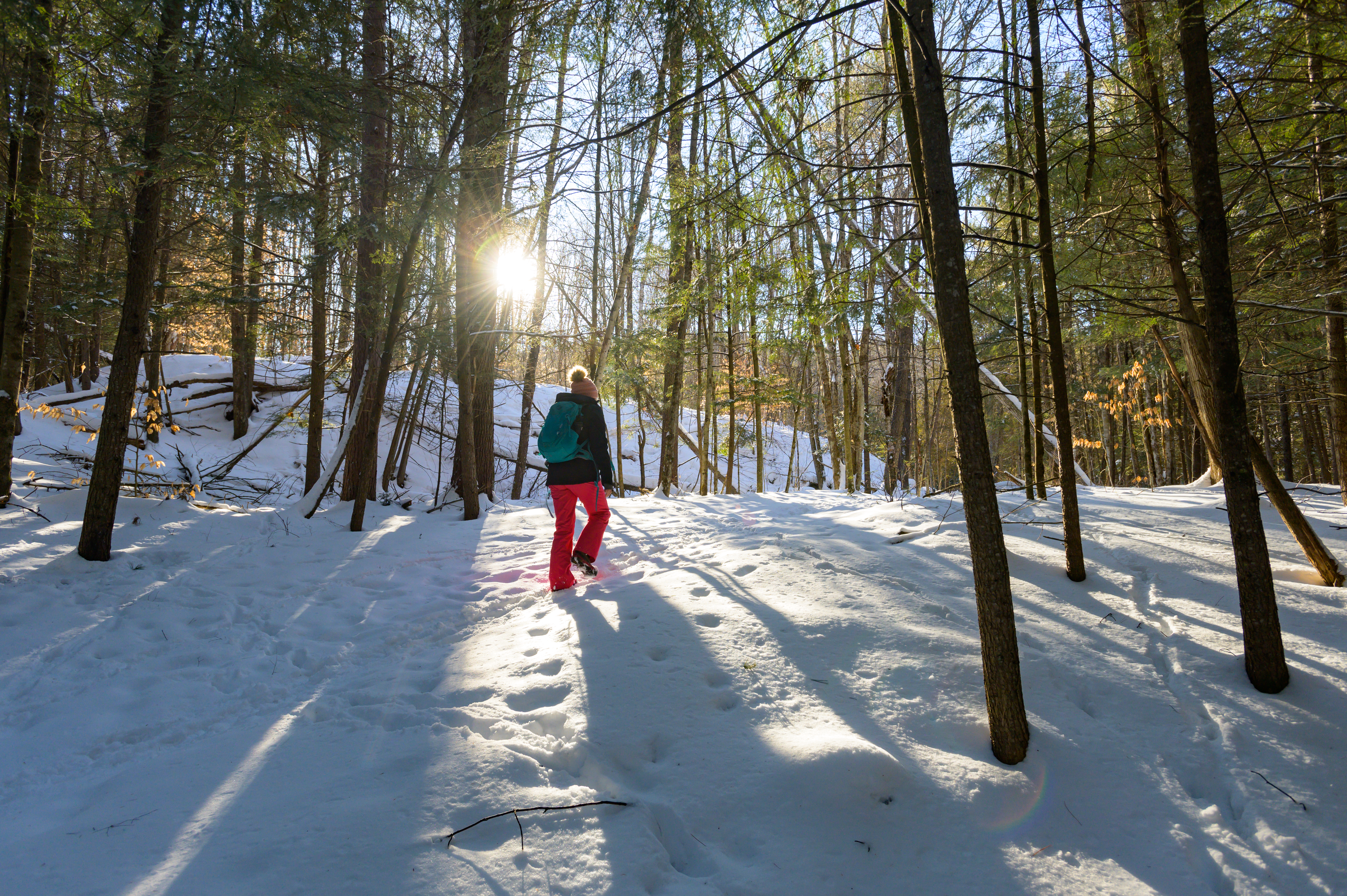 Woman hiking through forest with sun shining through trees.