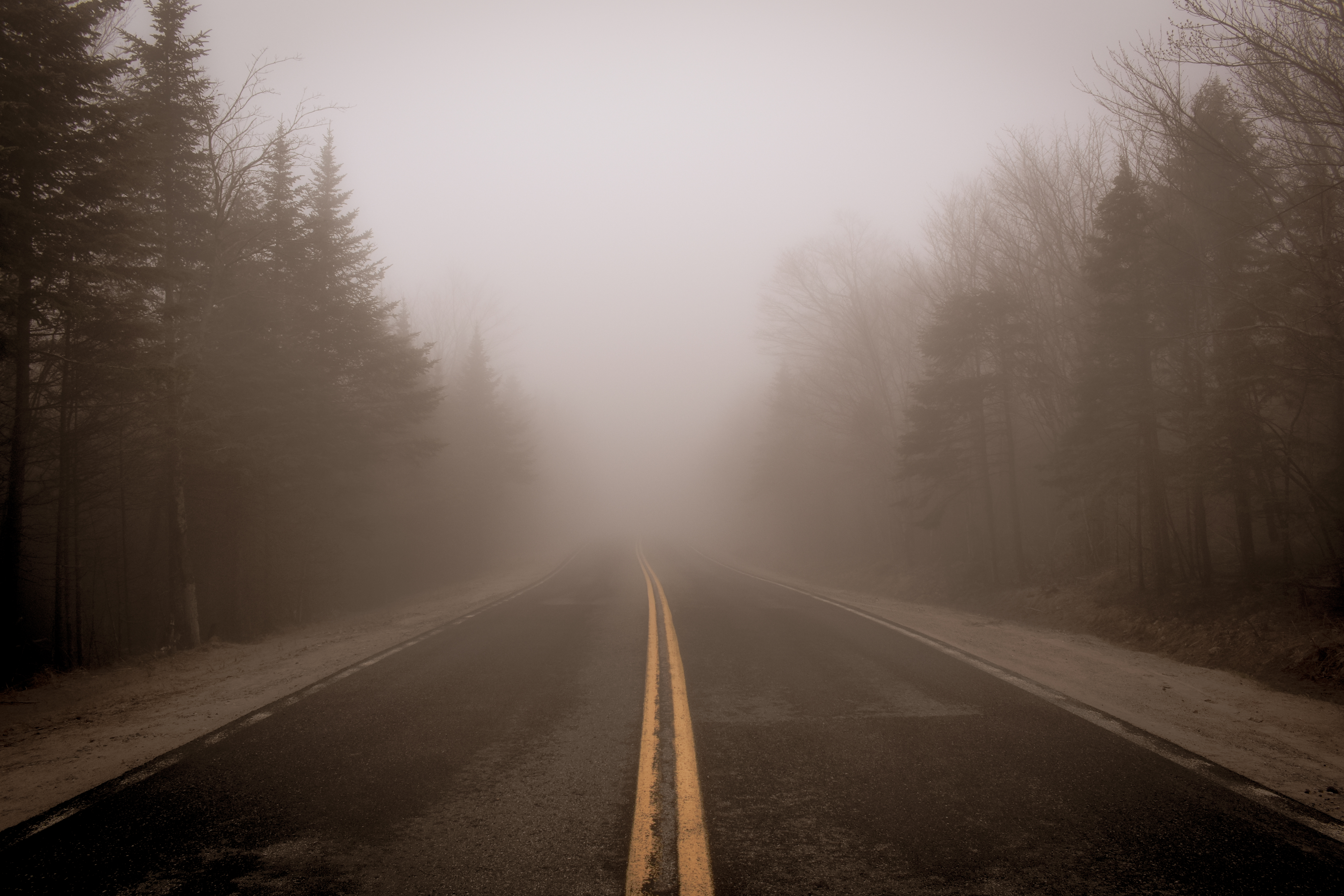 A foggy back road with leaf-less trees on the edges.