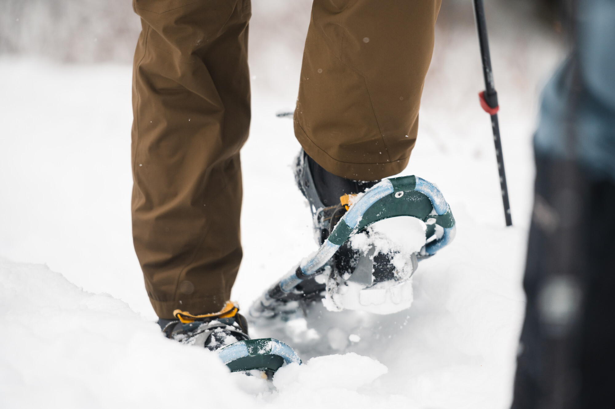 A close up shot of a snowshoe