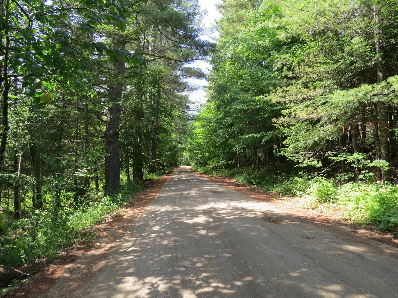 Dirt road at Cedarlands