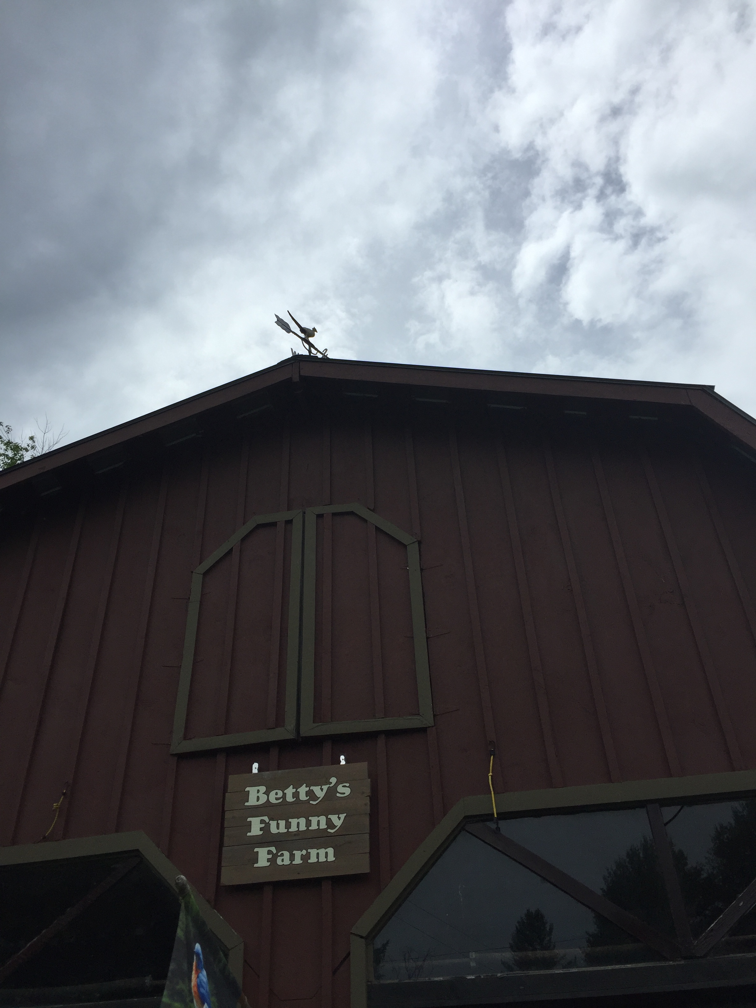 Betty's Funny Farm sign on the side of a building.
