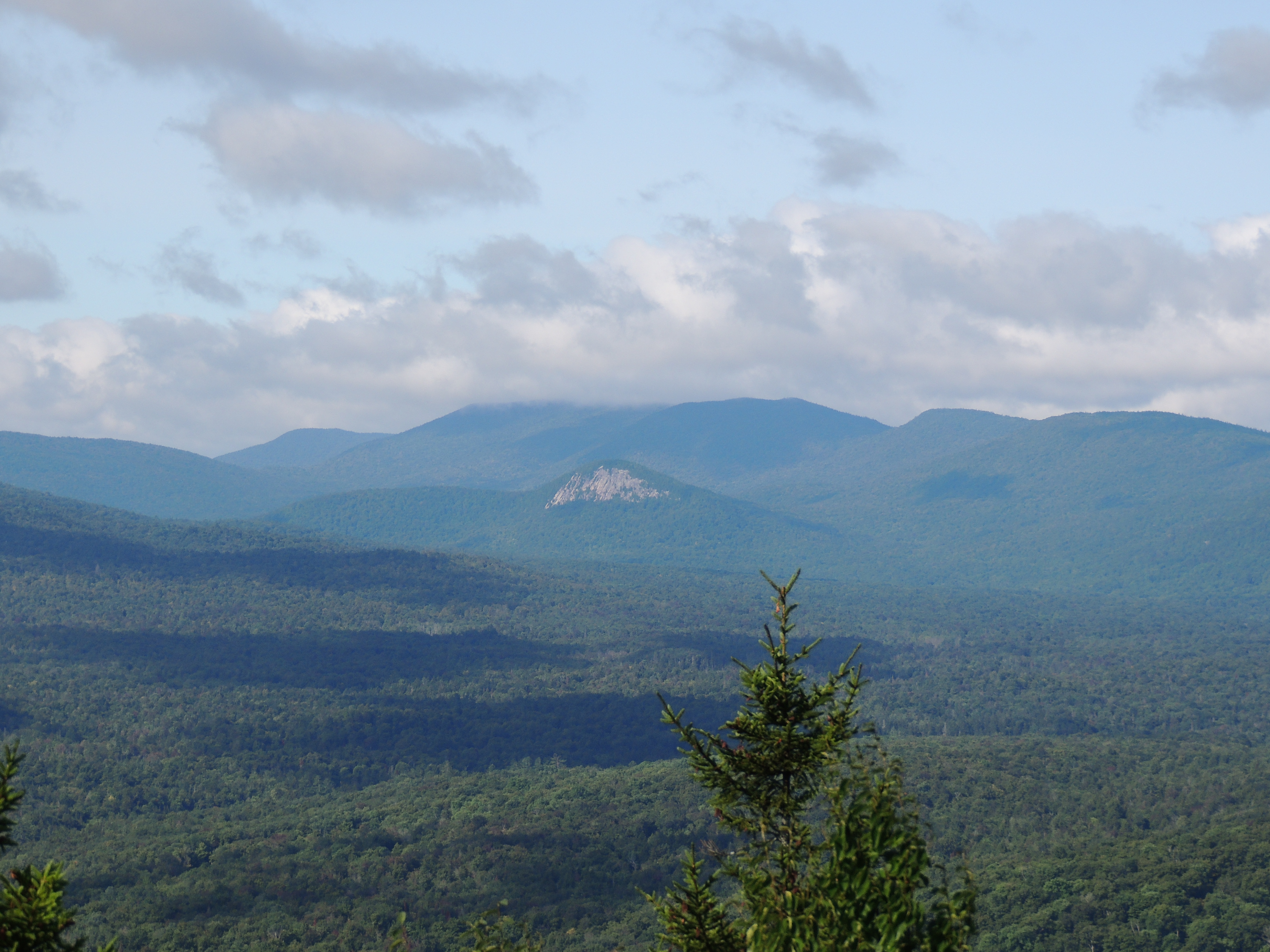 A view of forested mountains from the summit of a mountain.
