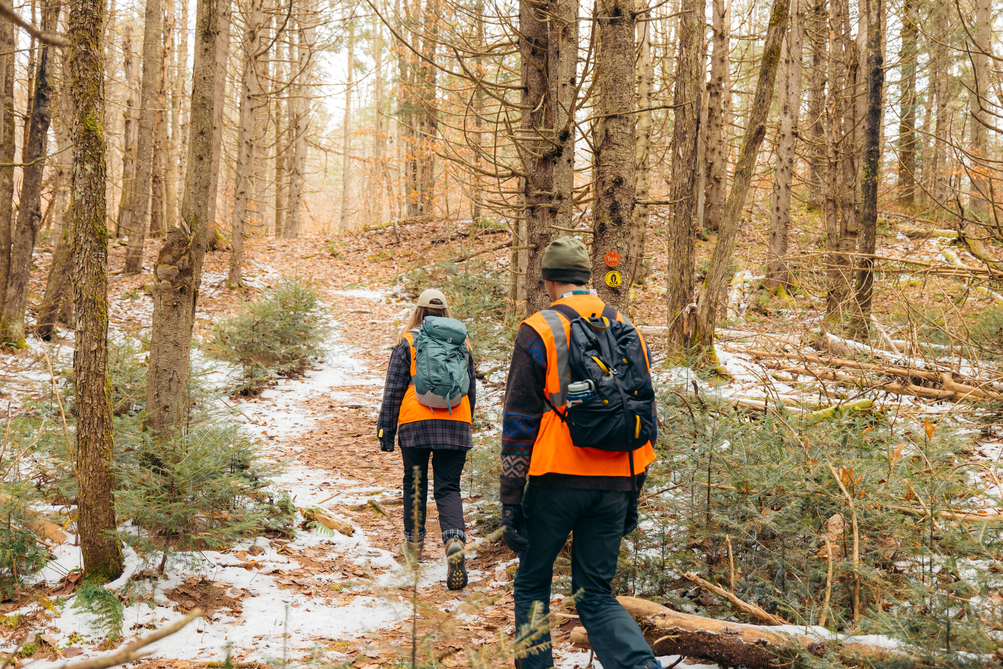 Two hikers pass through woods in fall wearing orange vests for safety.