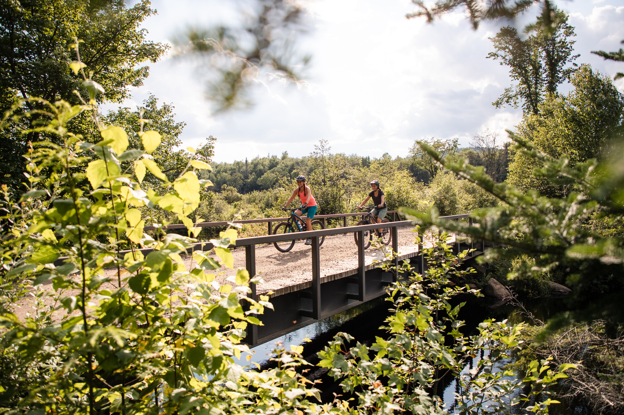 Two women bike over a bridge with bright forest scenery around them.