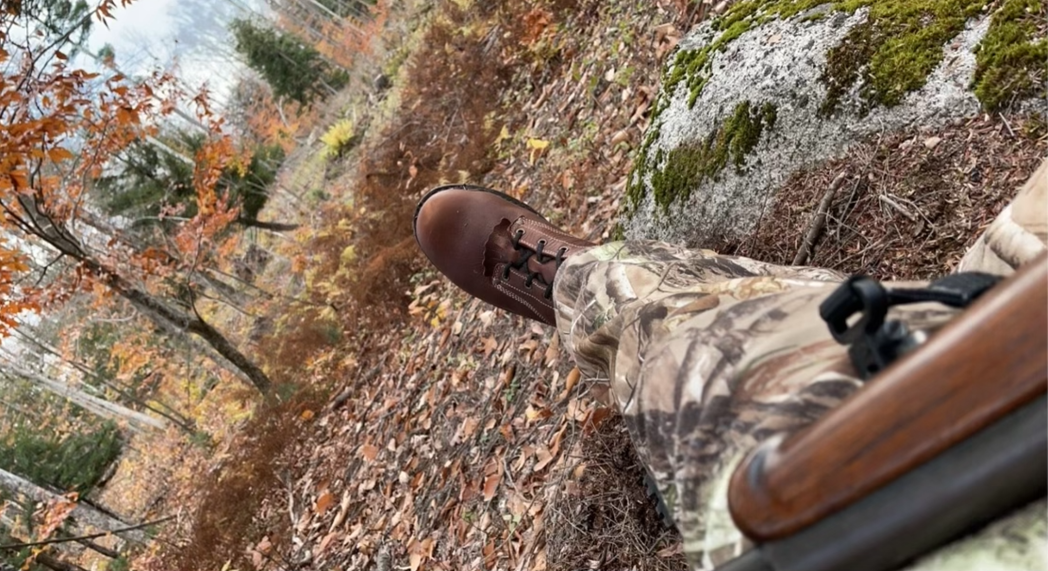 Hunter laying by a tree waiting for a deer with a gun in hand