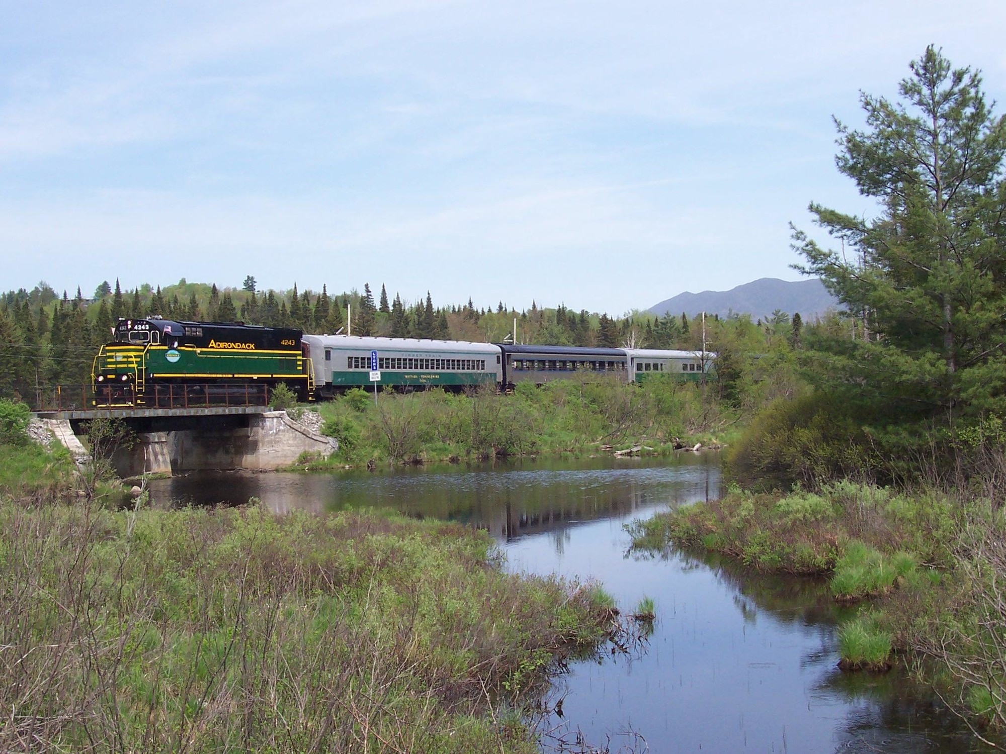 A train speeding through the trees 