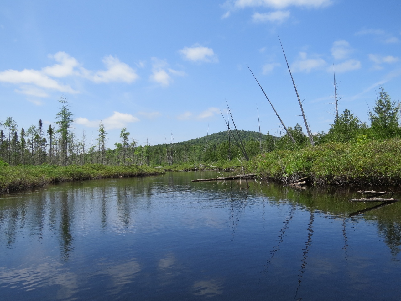 Paddling the inlet of Mud Pond at Cedarlands