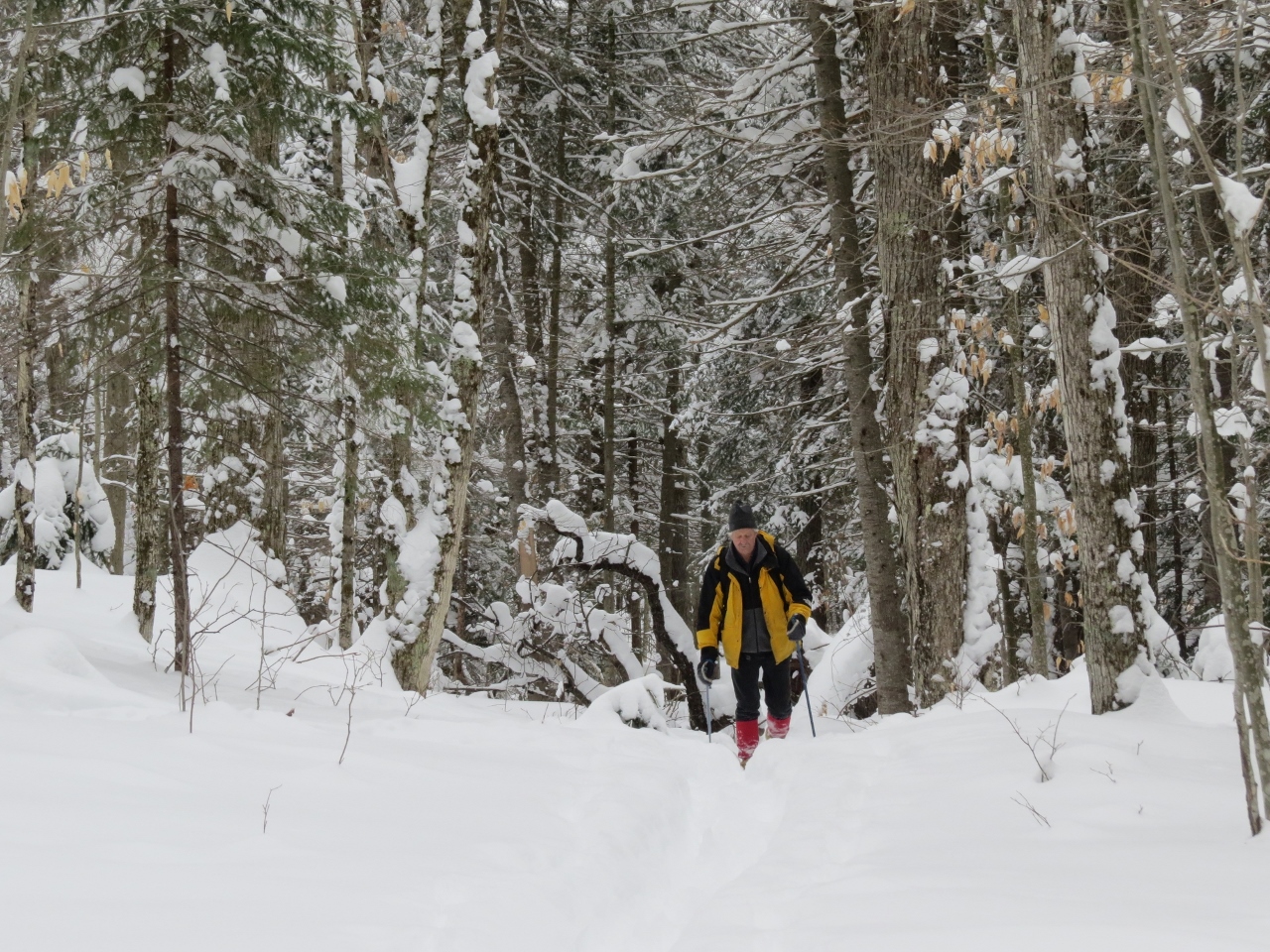 Skiing the Northville-Placid Trail