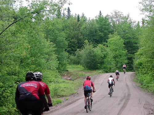 Black Fly Challenge