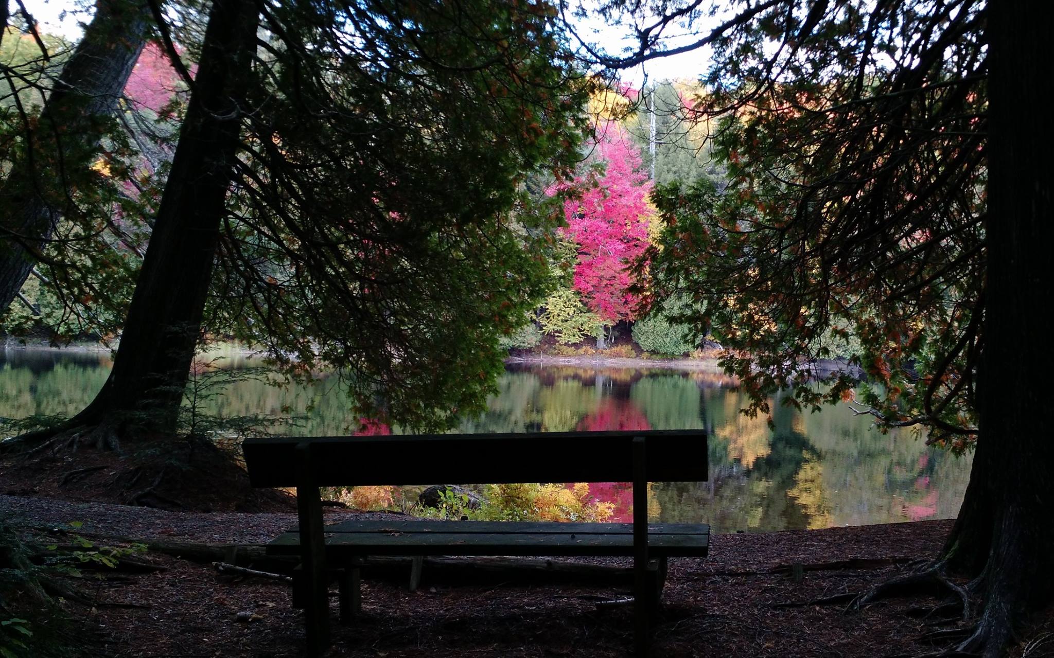 The Adirondack Interpretive Center is luxury hiking. (photo courtesy the AIC)