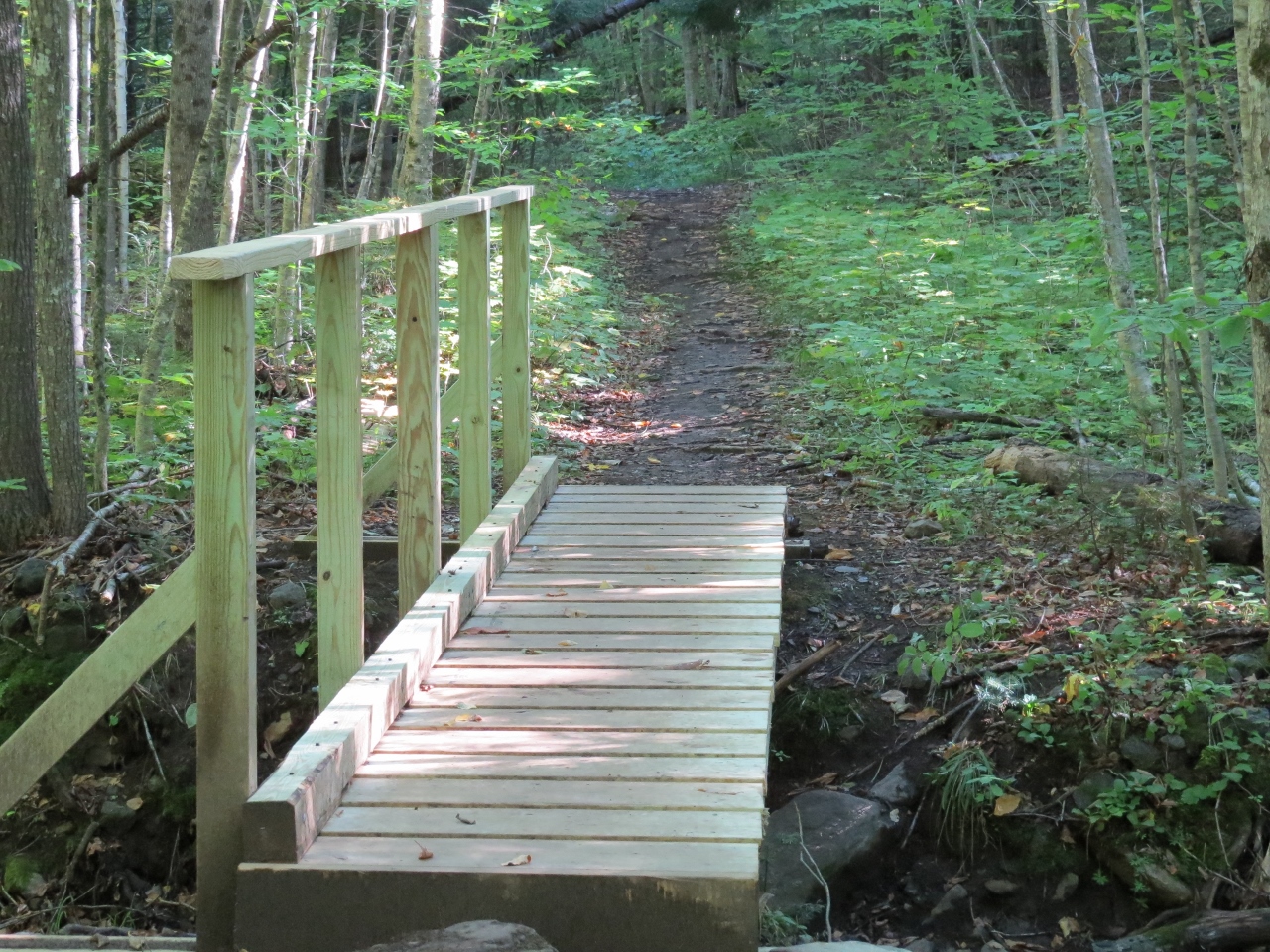 OK Slip Falls new trail work