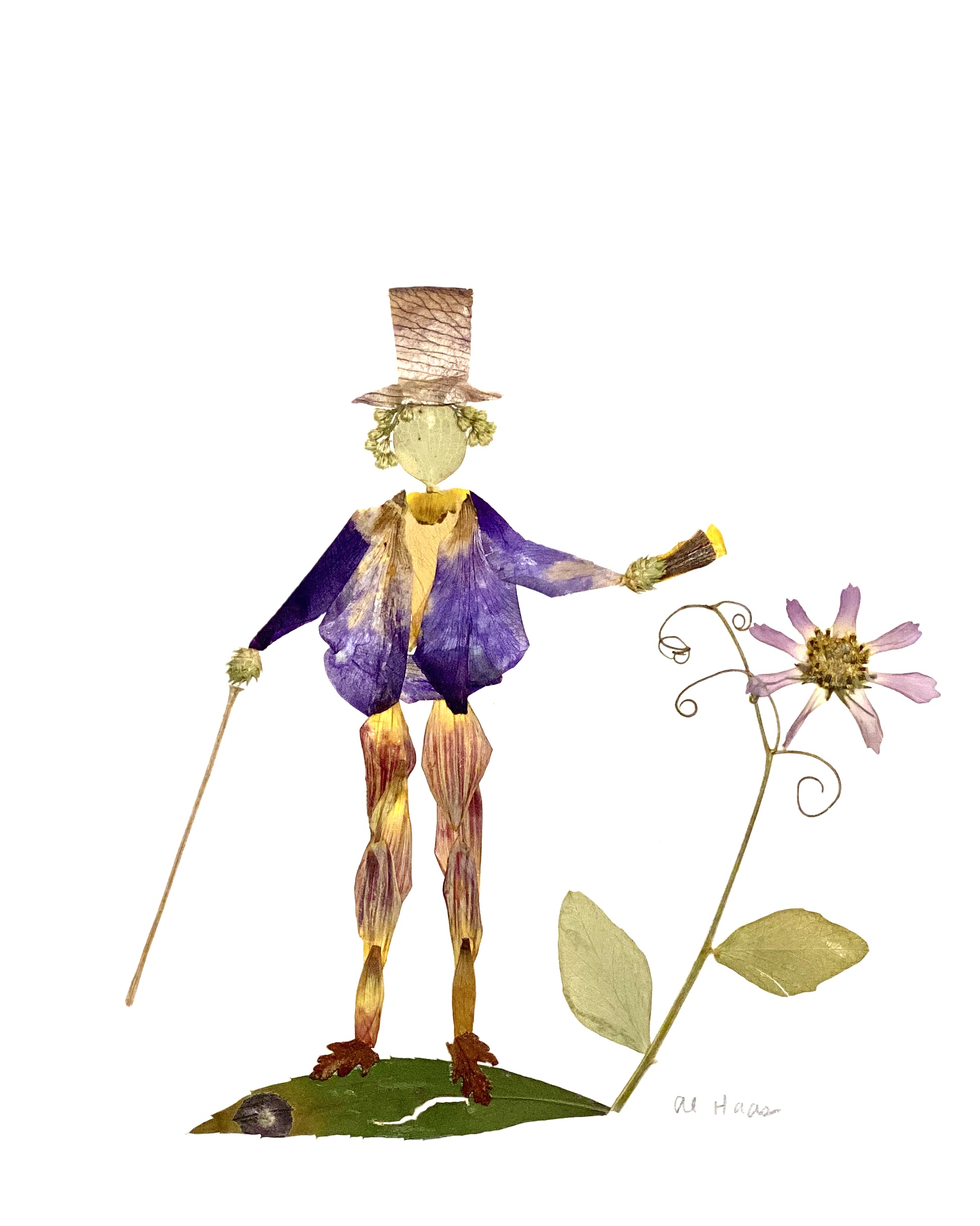 A pressed flower recreation of the character Willy Wonka. Photo by Alison Haas.
