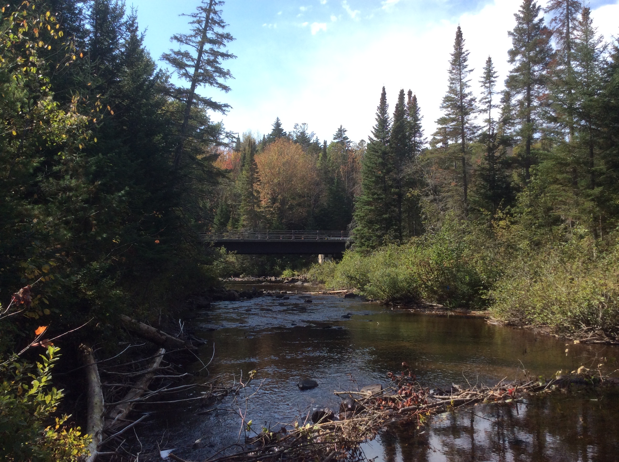 The Blue Ridge Road crosses the Boreas River at several points.