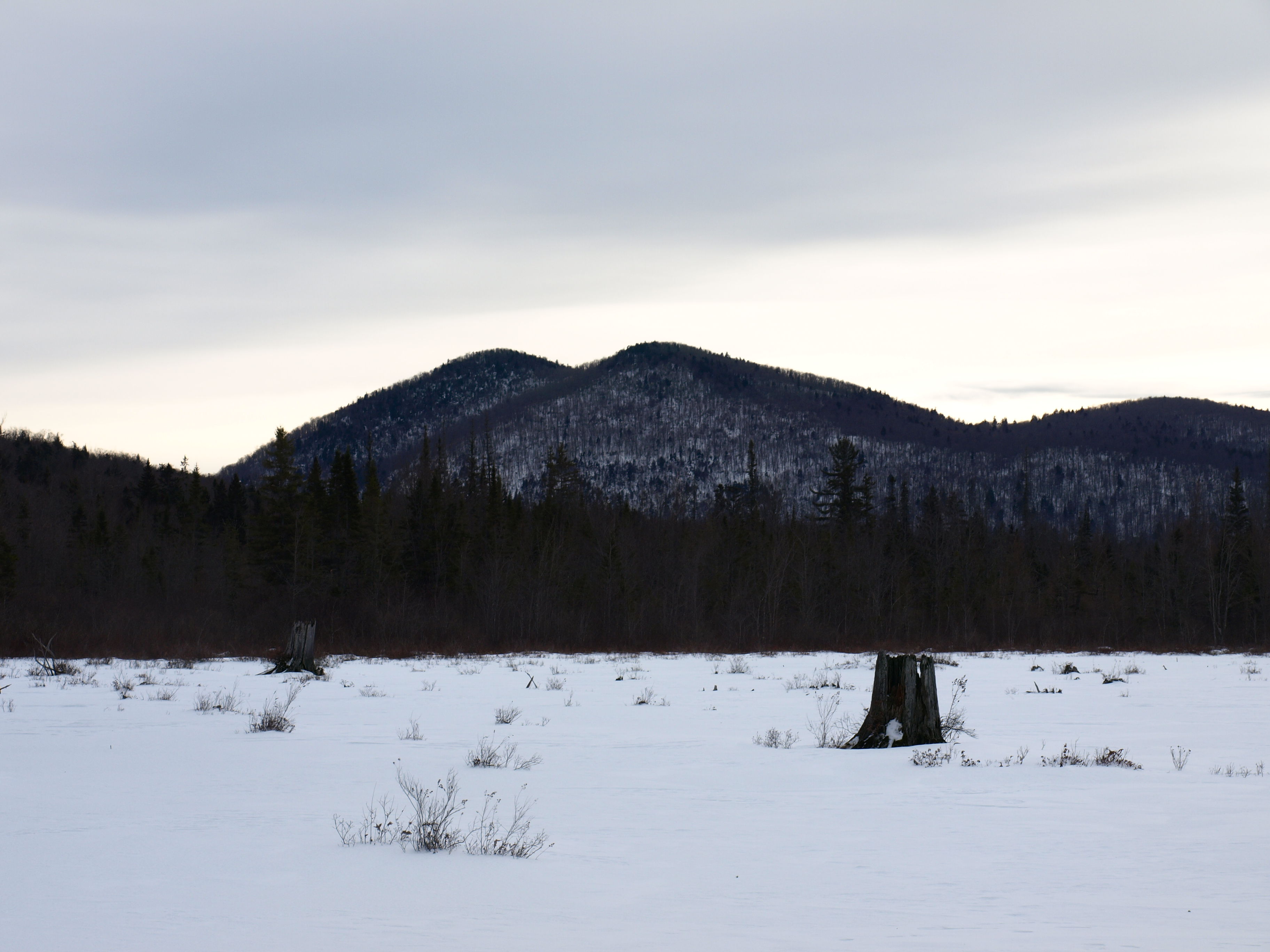 Humphrey Mountain