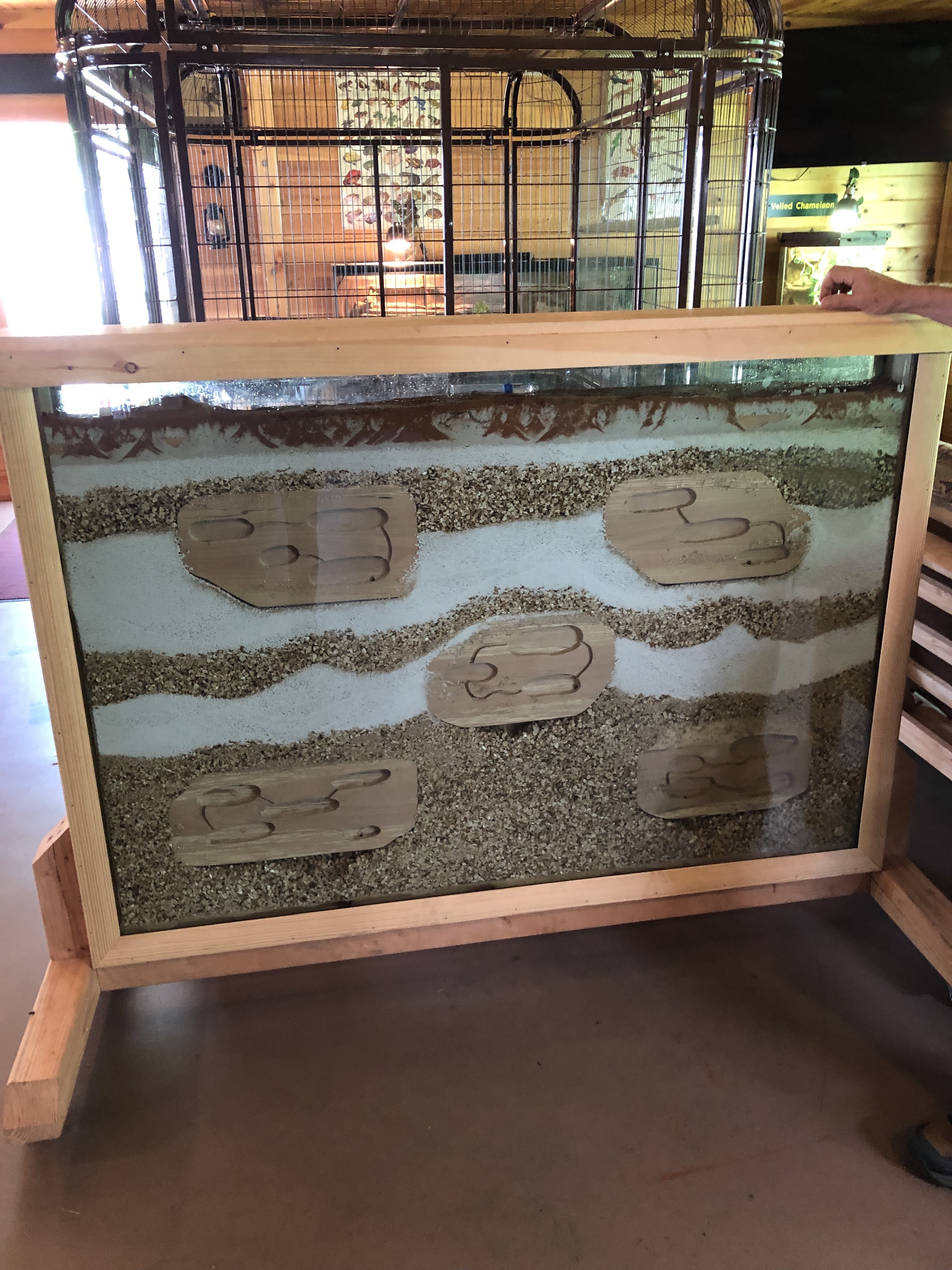 Ant farm