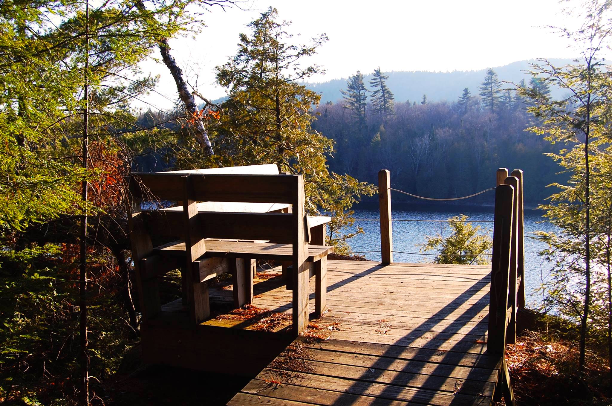 Another great feature on the AIC hiking trails are the outlooks, benches, and bridges which add to the experience.