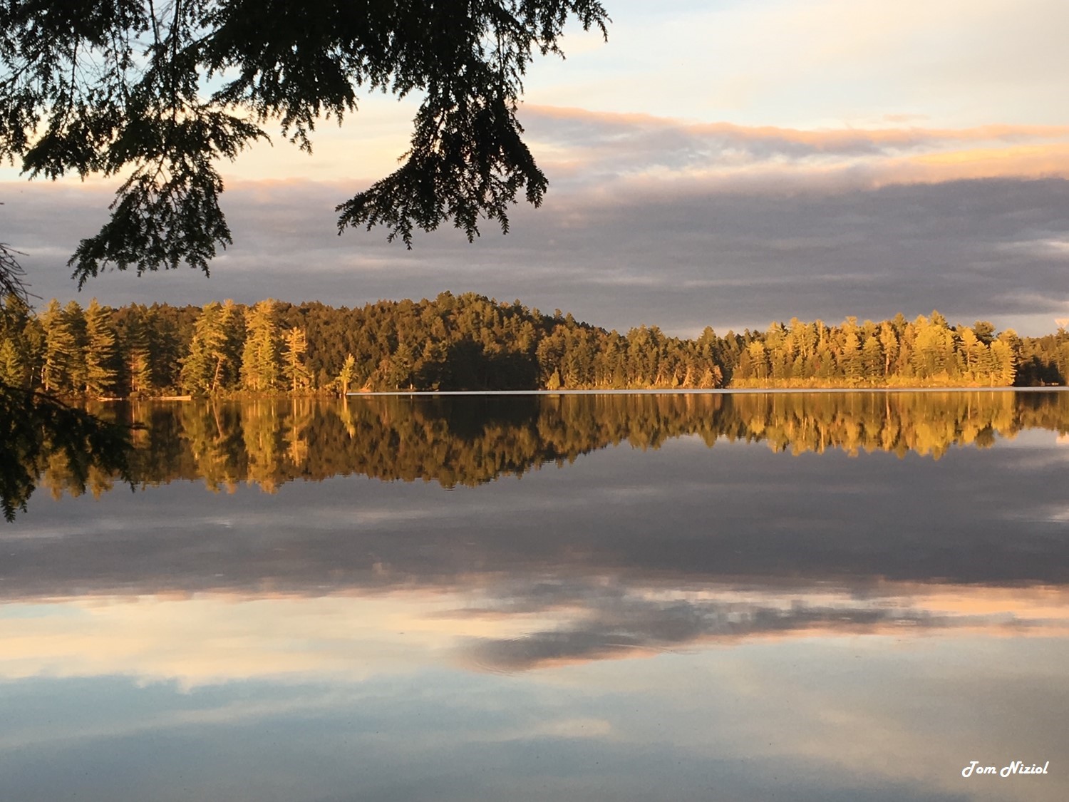 Evergreen trees glow orange in the light from sunset from across a pond.