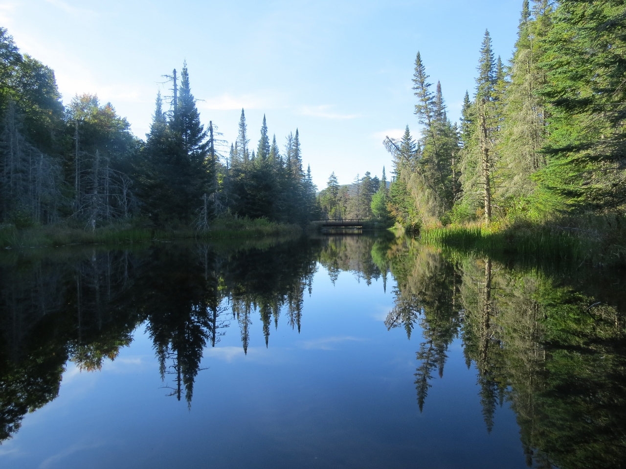 Fishing Brook