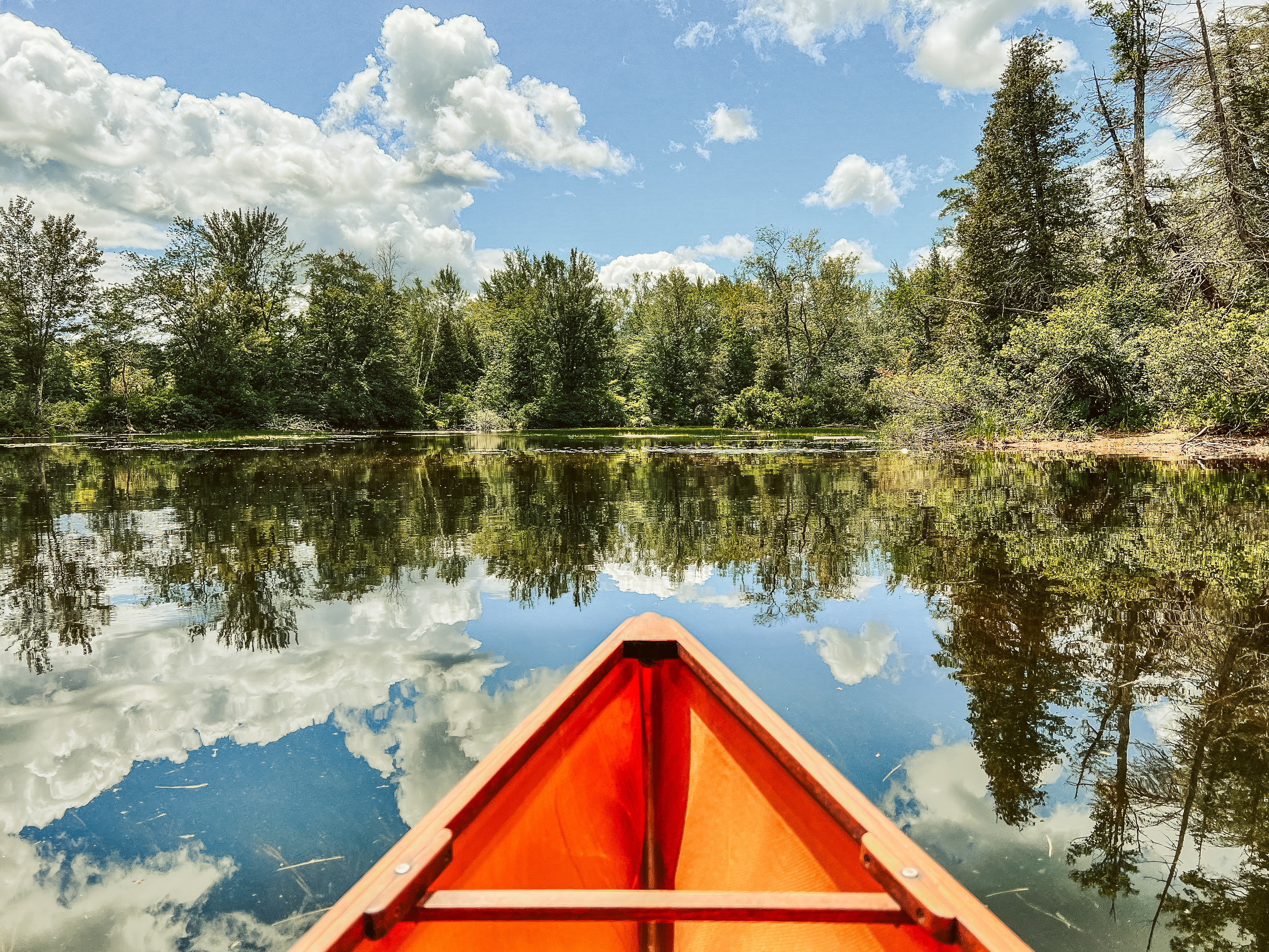 The bow of a canoe on a deep river with a forest view