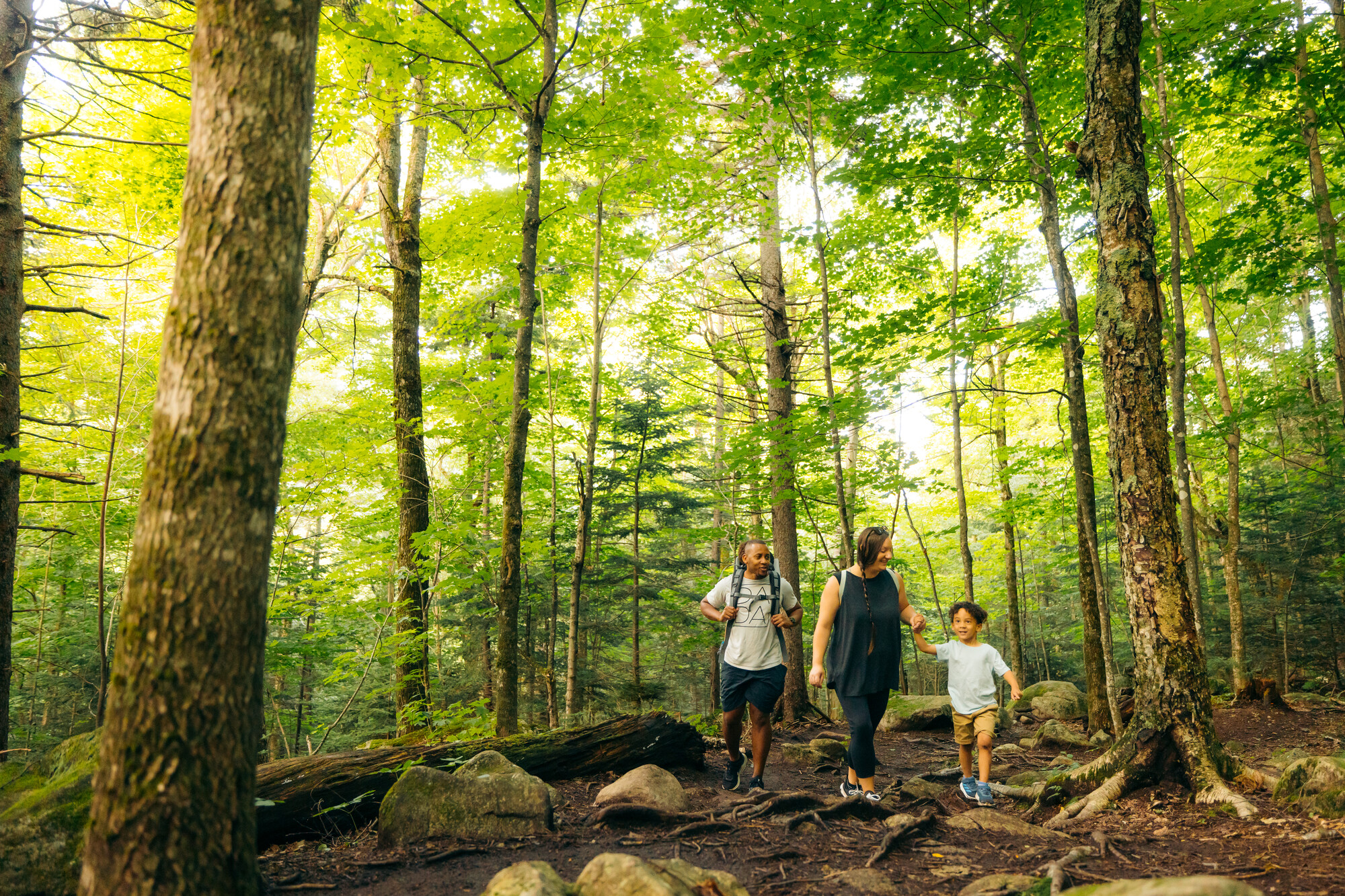 Family with young children, one in backpack carrier, hike along forested trail
