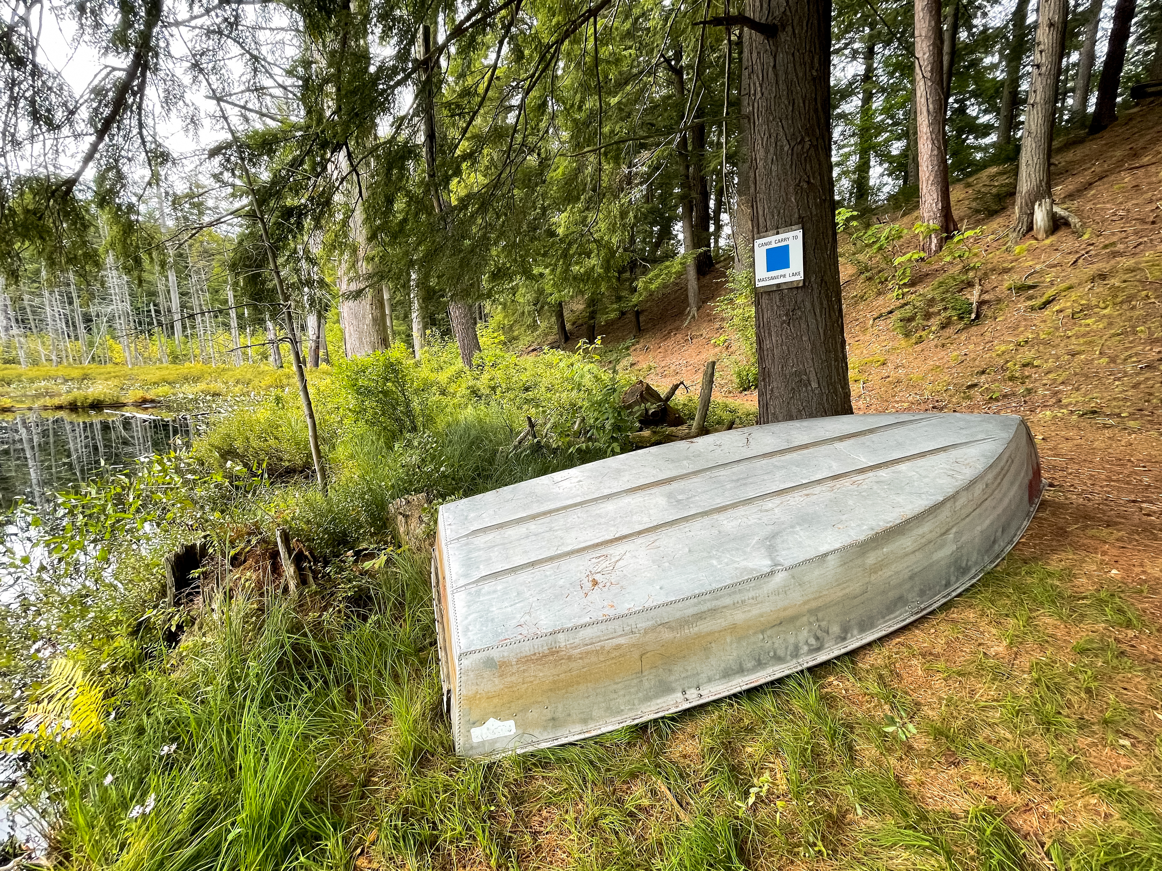 A metal boat on the on the shore of a pond. 
