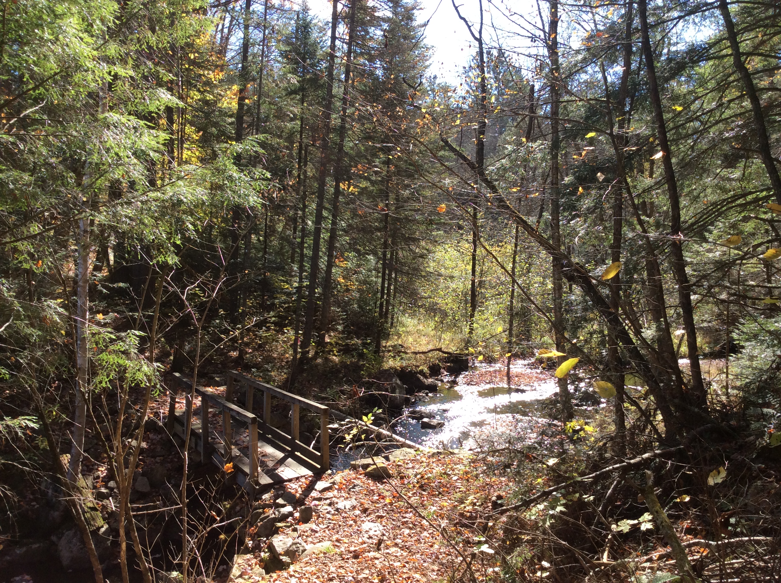 This bridge over a creek is a wonderful photo opportunity.