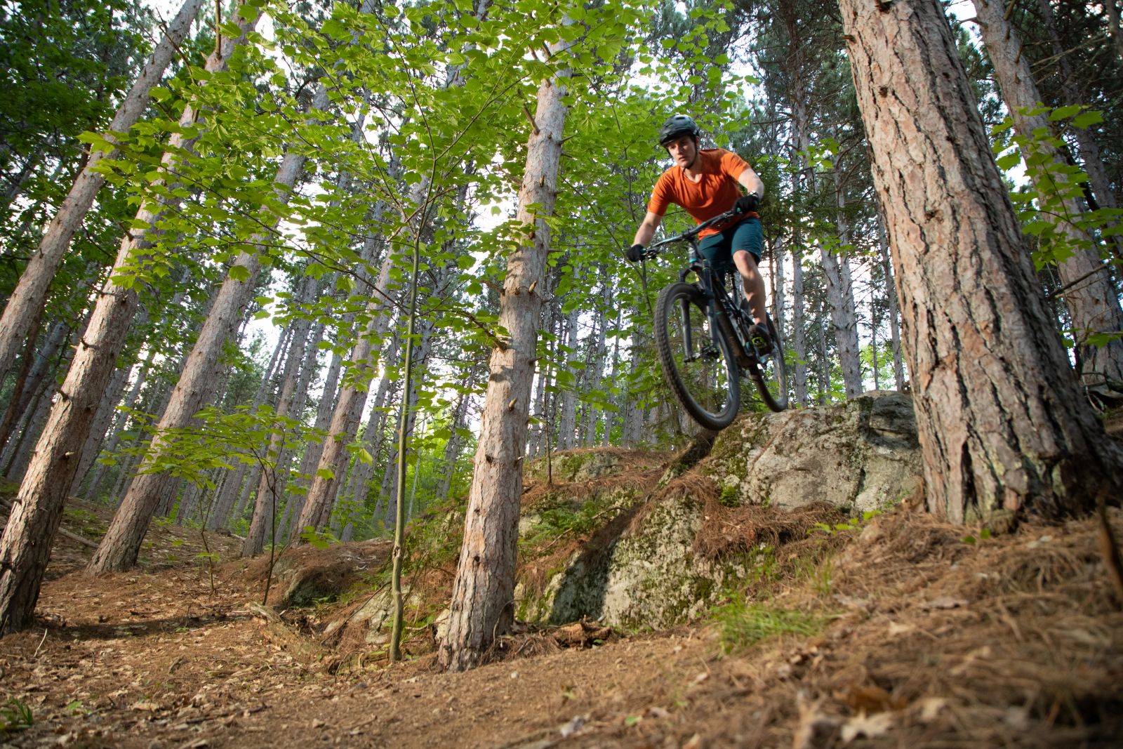 Man riding mountain bike over rock on forest trail