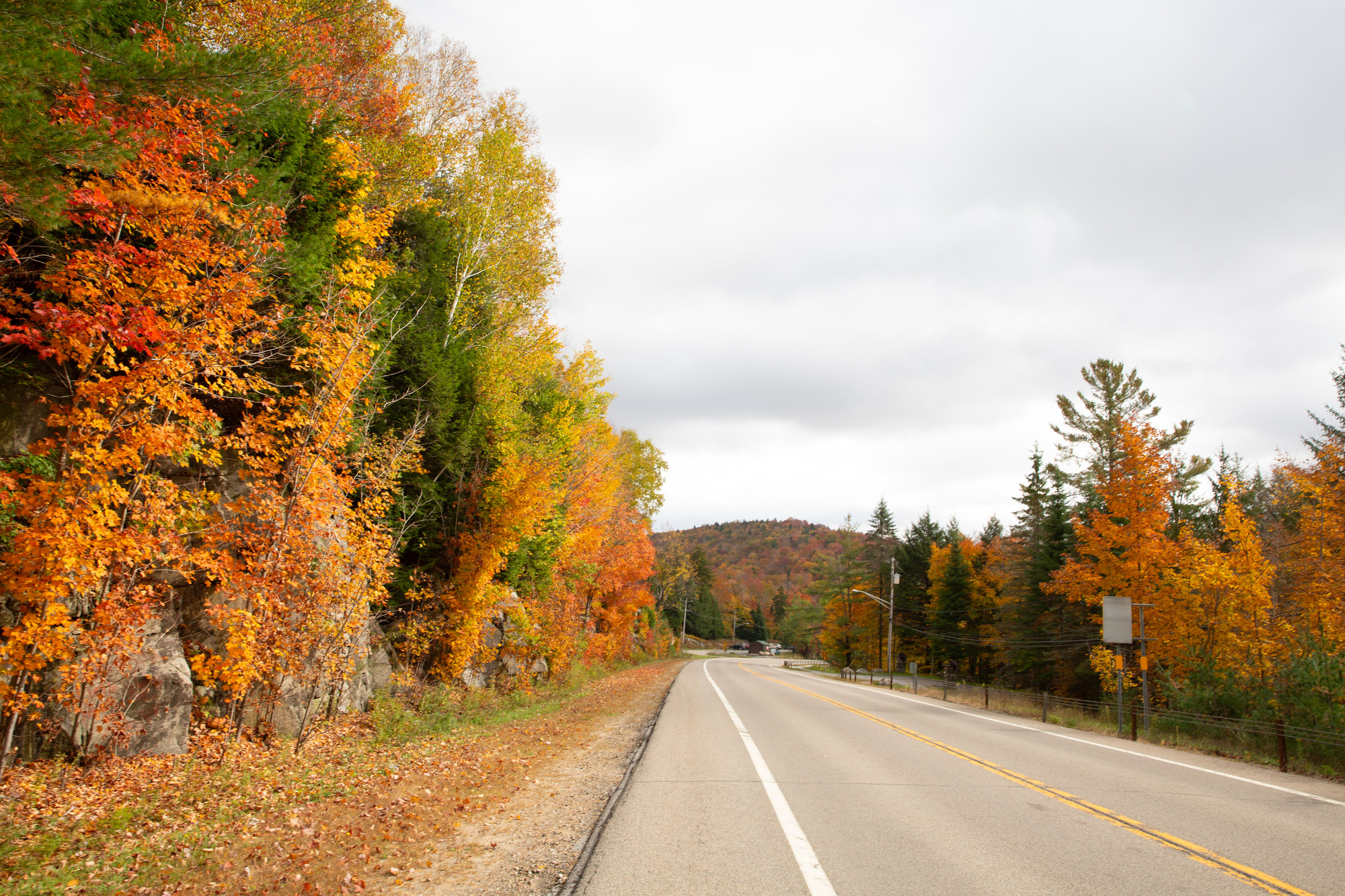 a road hugged by foliage. 
