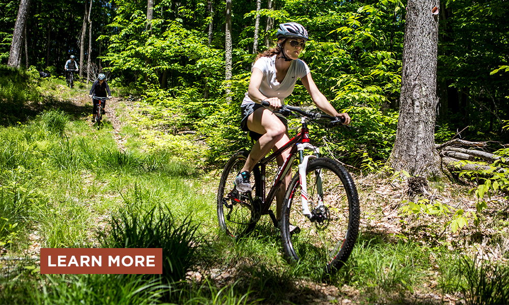 A family mountain biking.