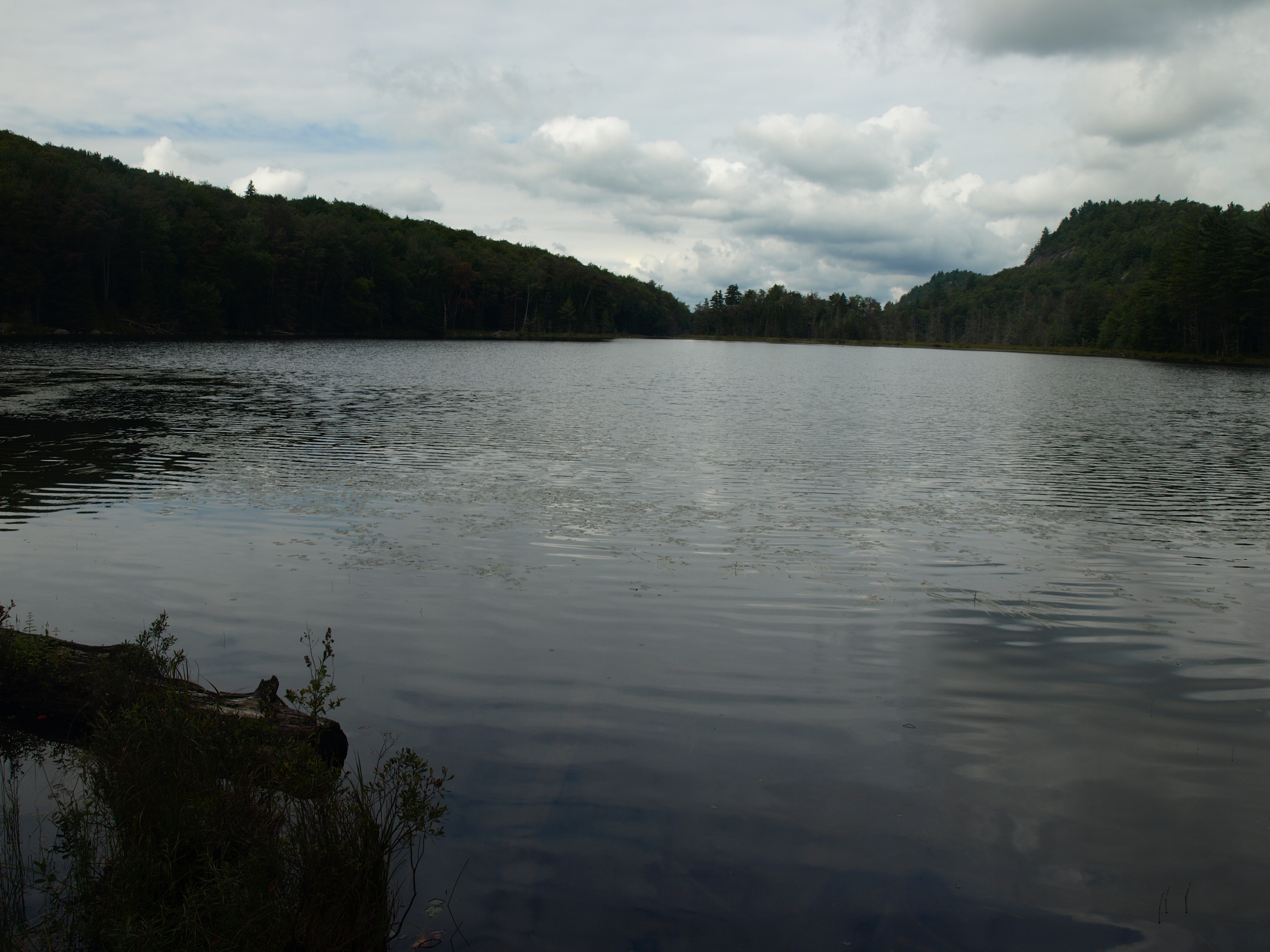 Mitchell Pond