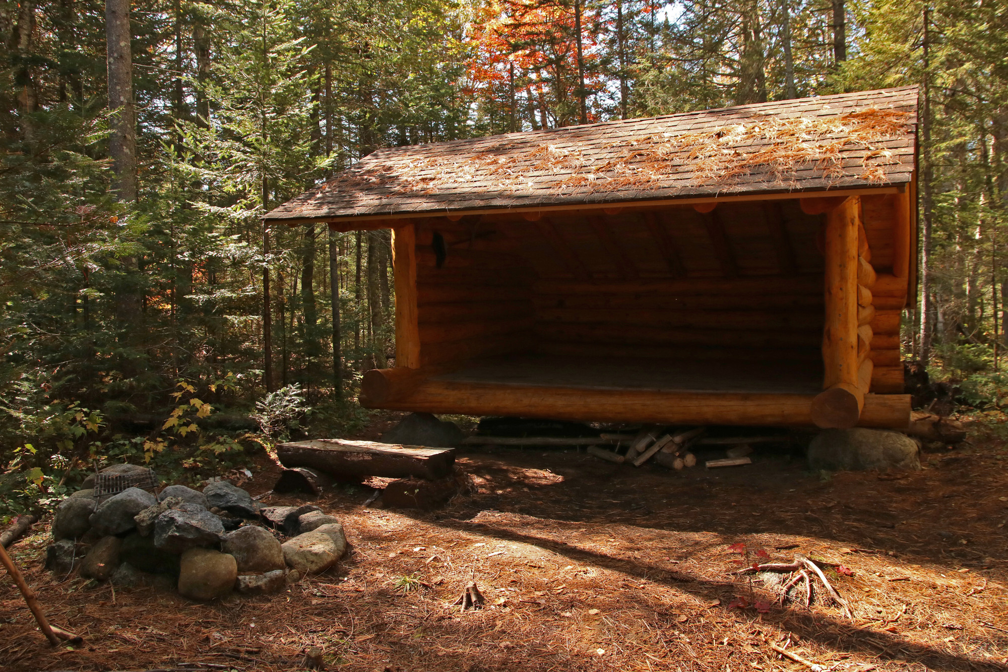 A campsite in a pine forest with lean-to, rustic bench, and stone fire pit.