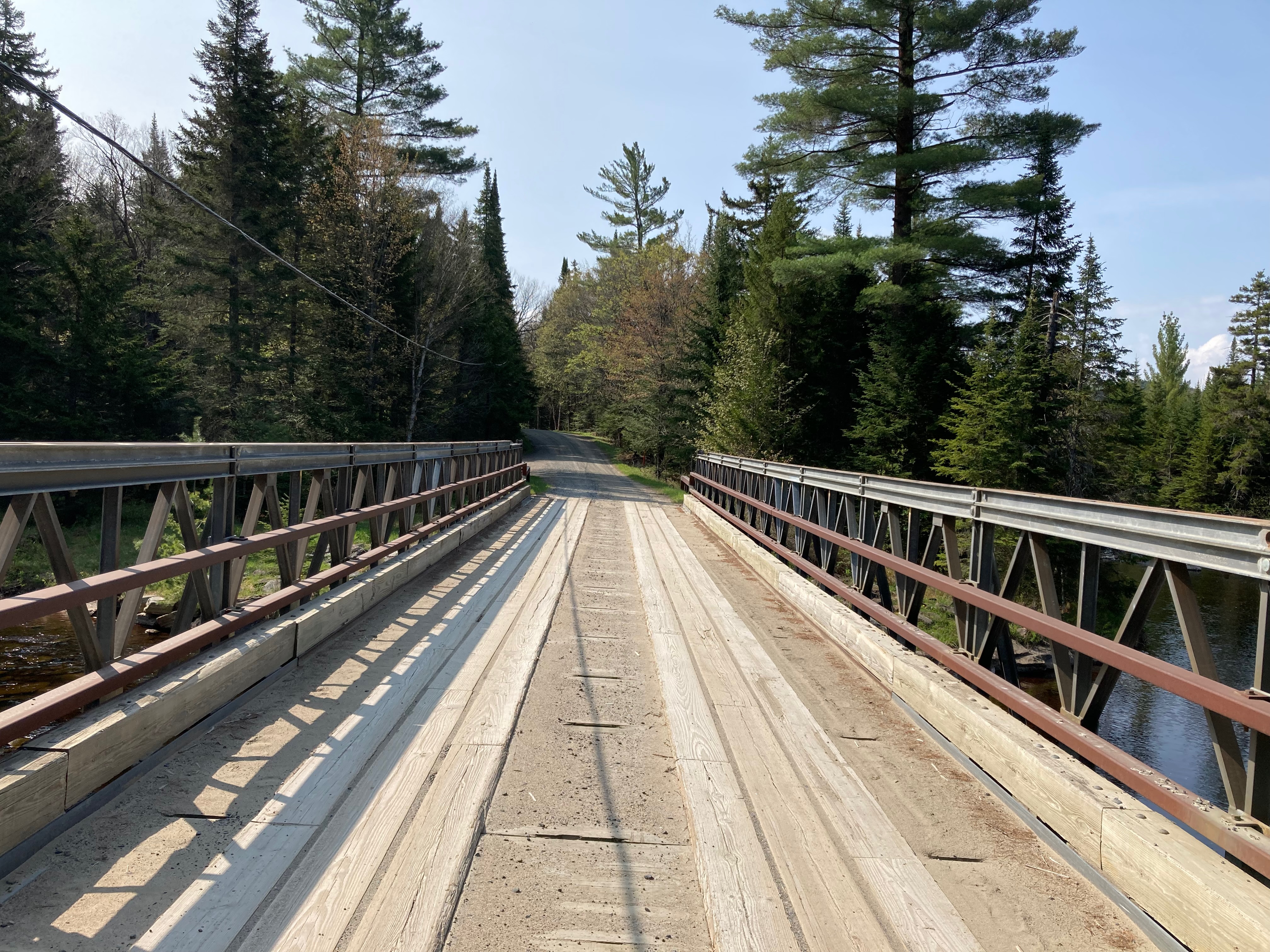 A wooden bridge over a stream leading into the forest. 