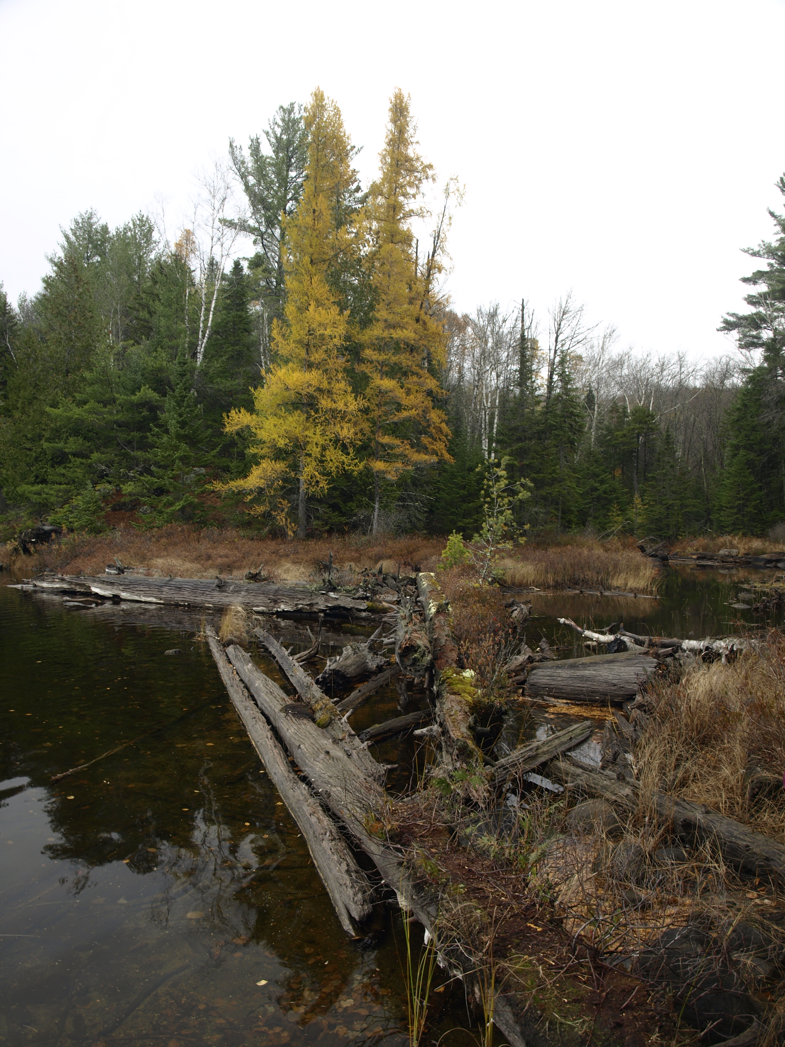 Bullhead Pond