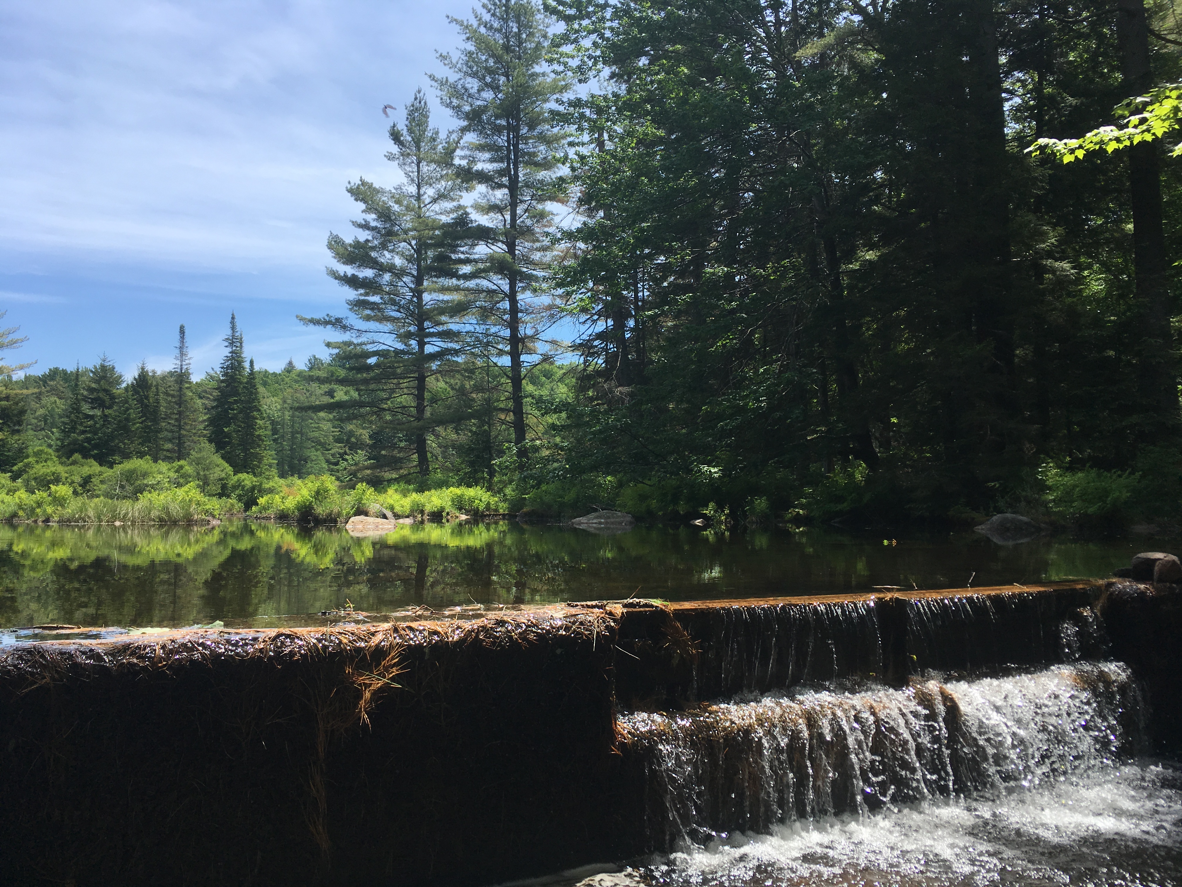 Hidden dam at Limekiln Lake Campground.